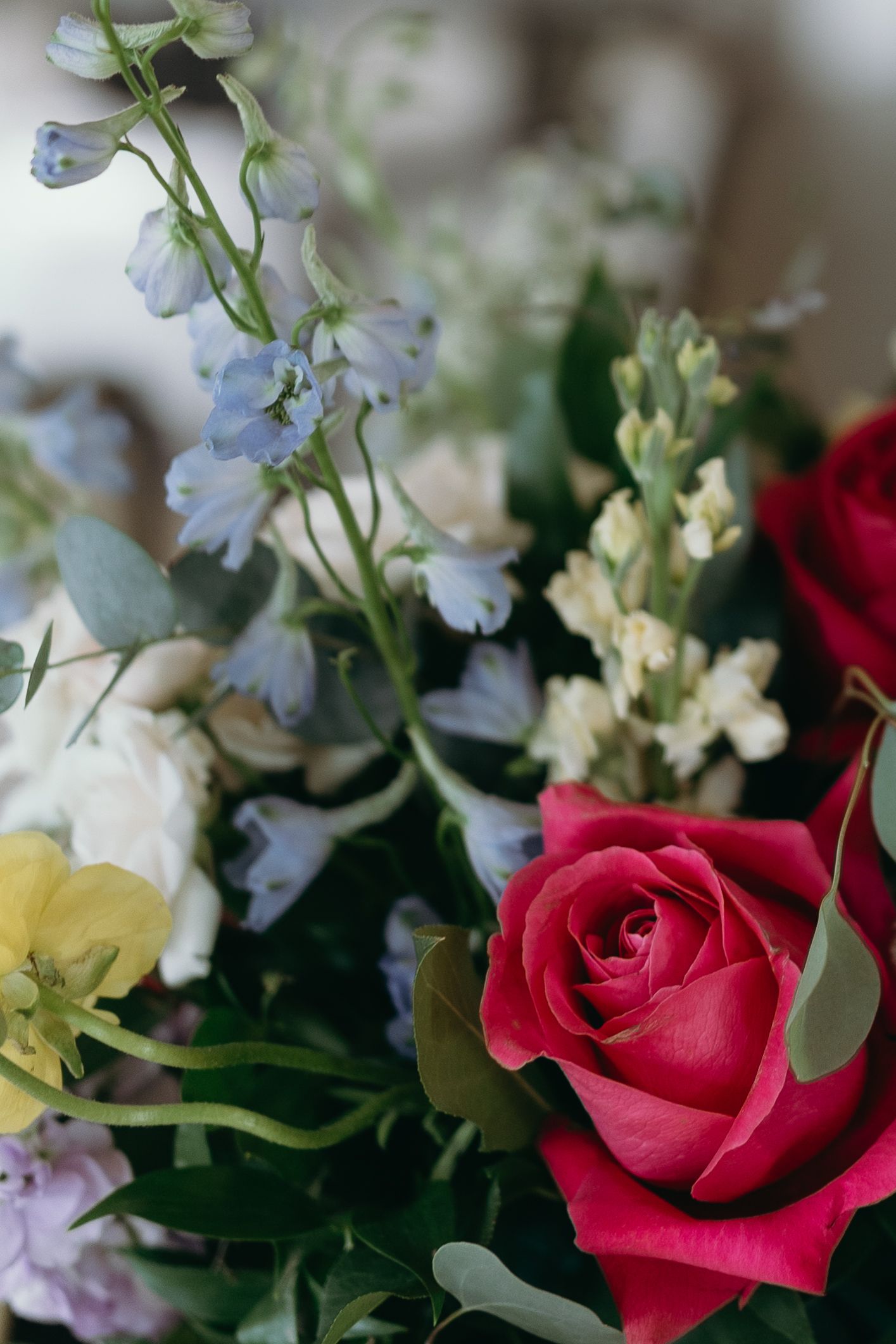 Close-up of a floral arrangement featuring red roses and delicate blue flowers.