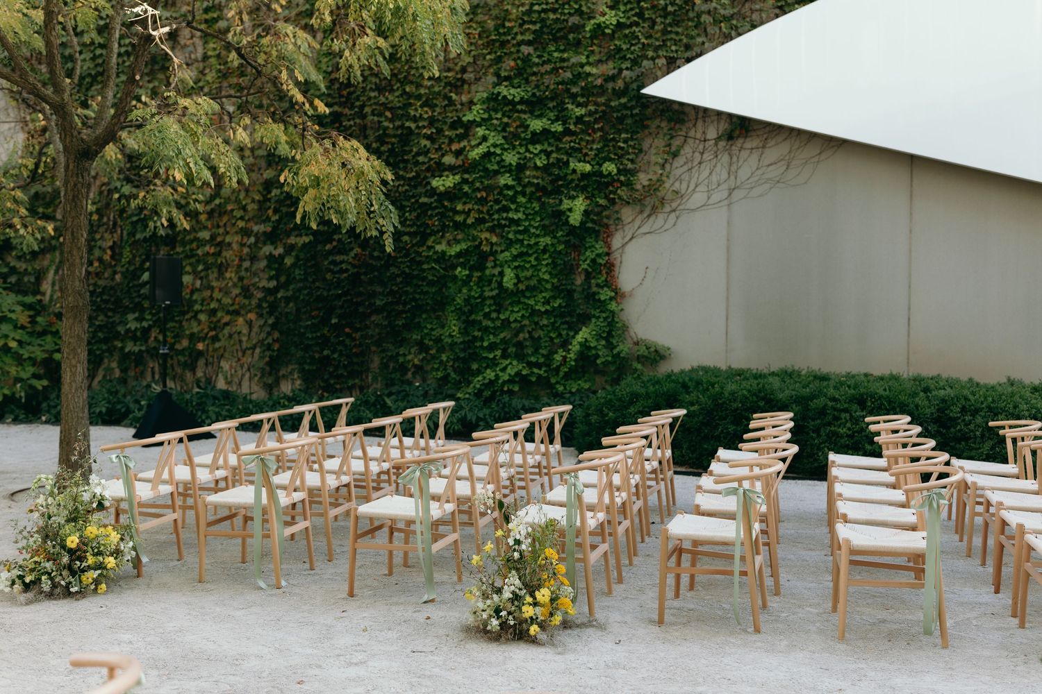 Wooden chairs arranged for an outdoor garden wedding ceremony with greenery backdrop.