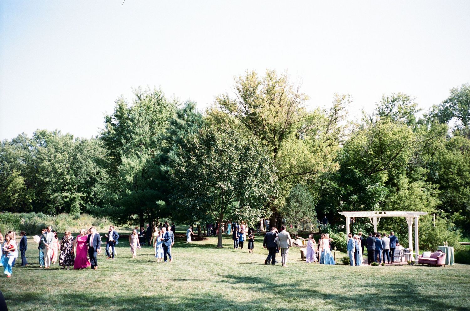 Wedding guests mingling on a lush green lawn during an outdoor reception with trees and a wooden pergola.