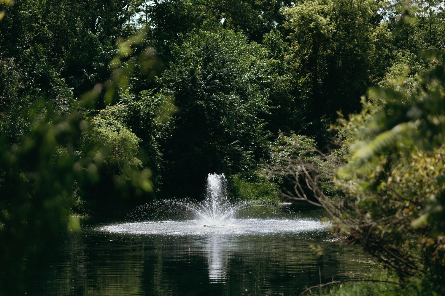 A serene garden pond fountain surrounded by lush green trees, creating a peaceful natural landscape.