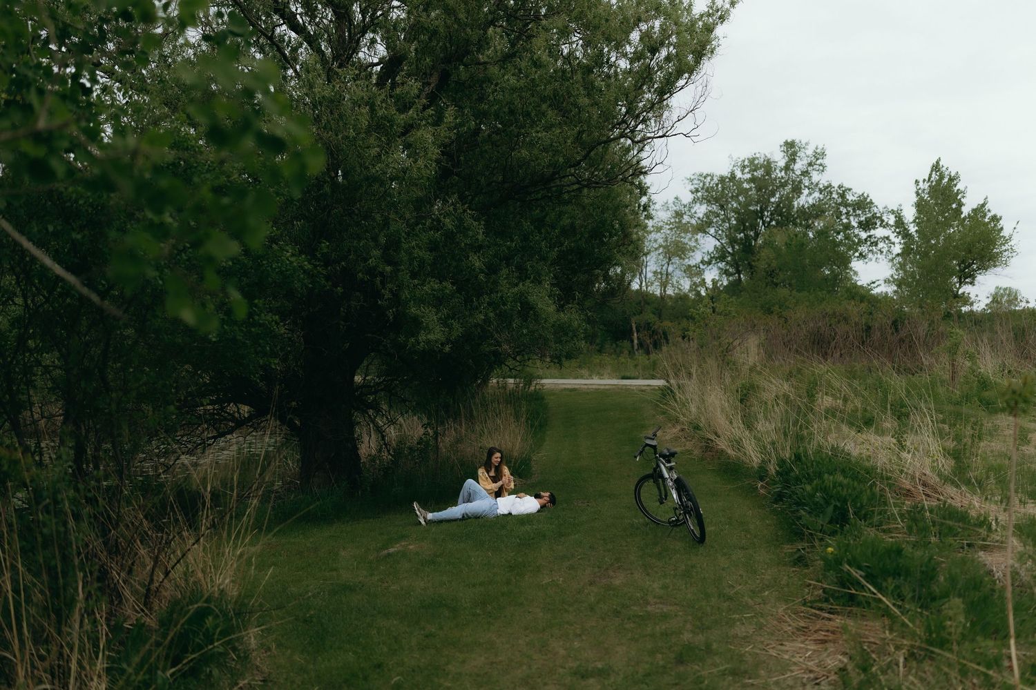 Chicago wedding photographer Couple sitting on a blanket under a large tree in a lush green park with a bicycle nearby.