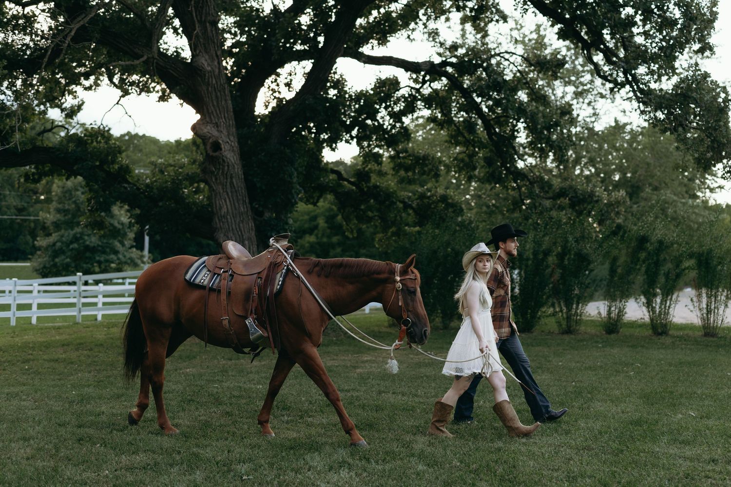 A person leads a horse through grassy fields at sunset with white fences in the background.