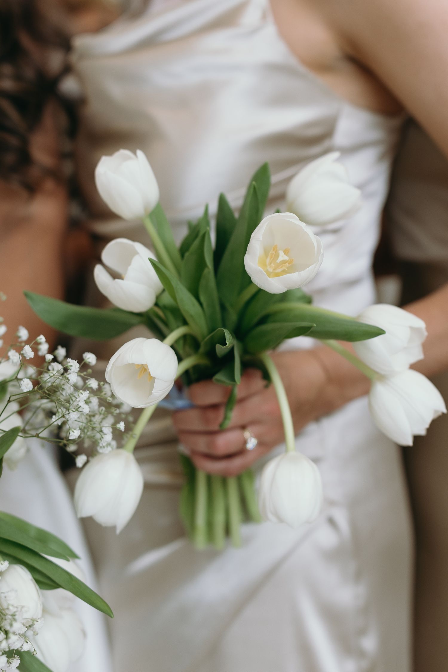 A wedding at Providence Vineyard in the Chicagoland suburbs