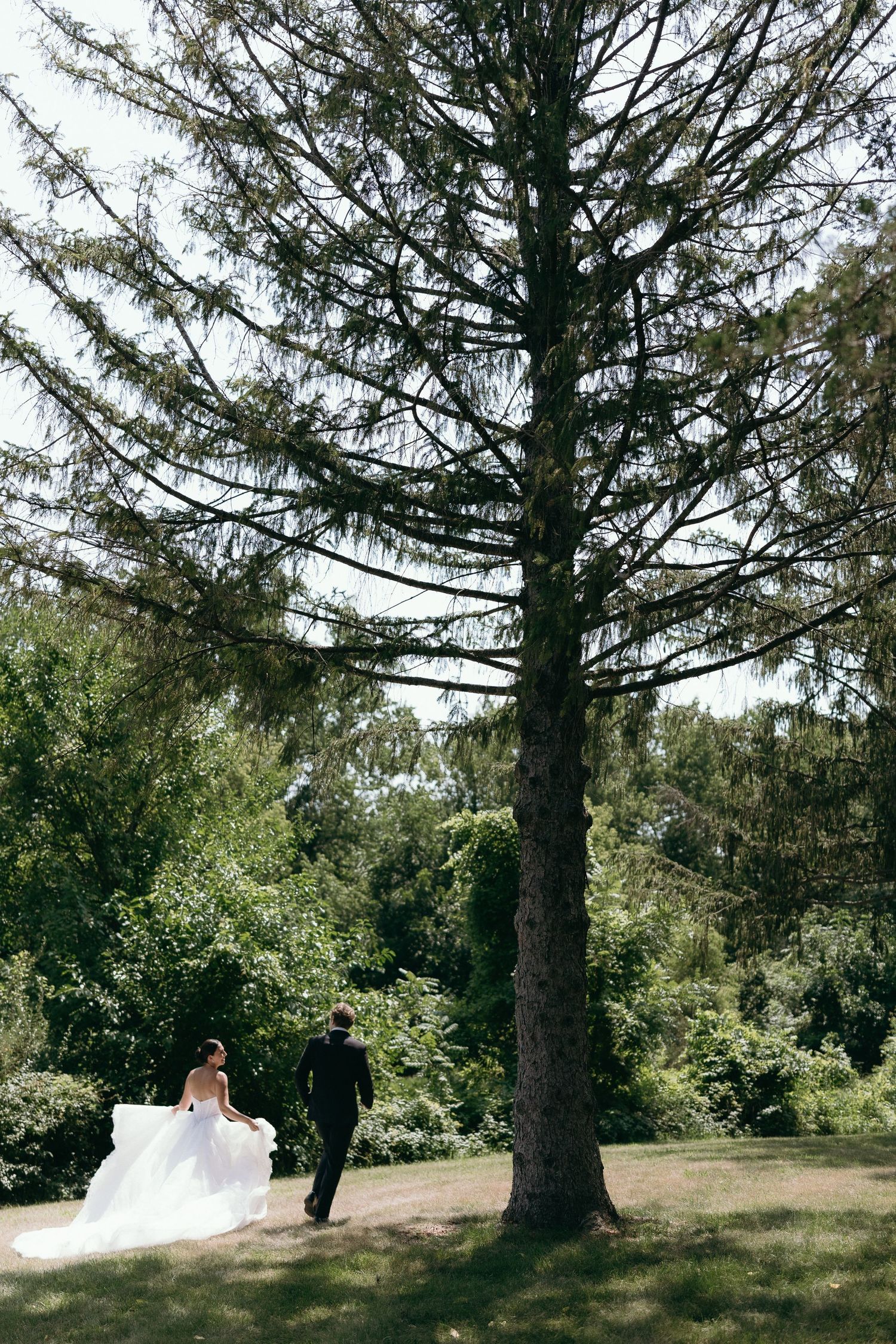 Bride and groom walking hand in hand through lush green garden beneath tall pine tree on wedding day.