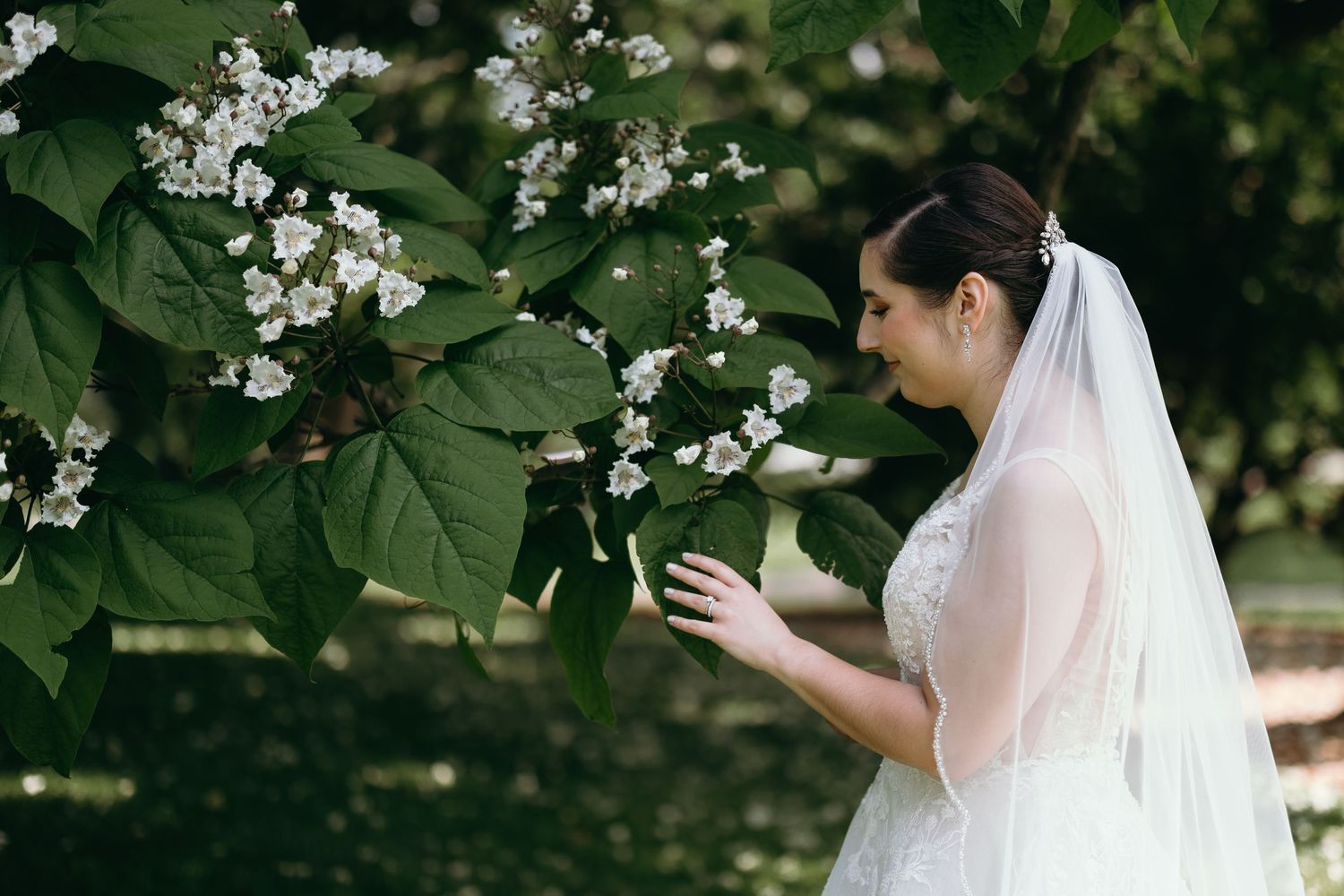 Figure in wedding dress examining blooming white flowers on tree branch.