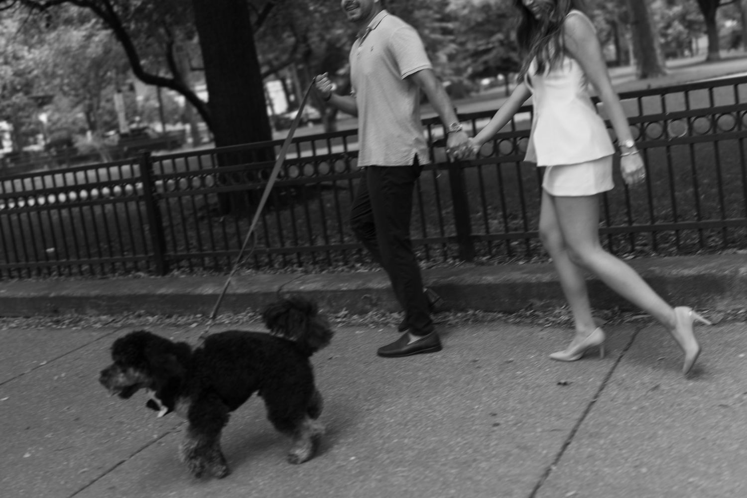 A black dog runs alongside a person in a park setting while being trained on a leash.