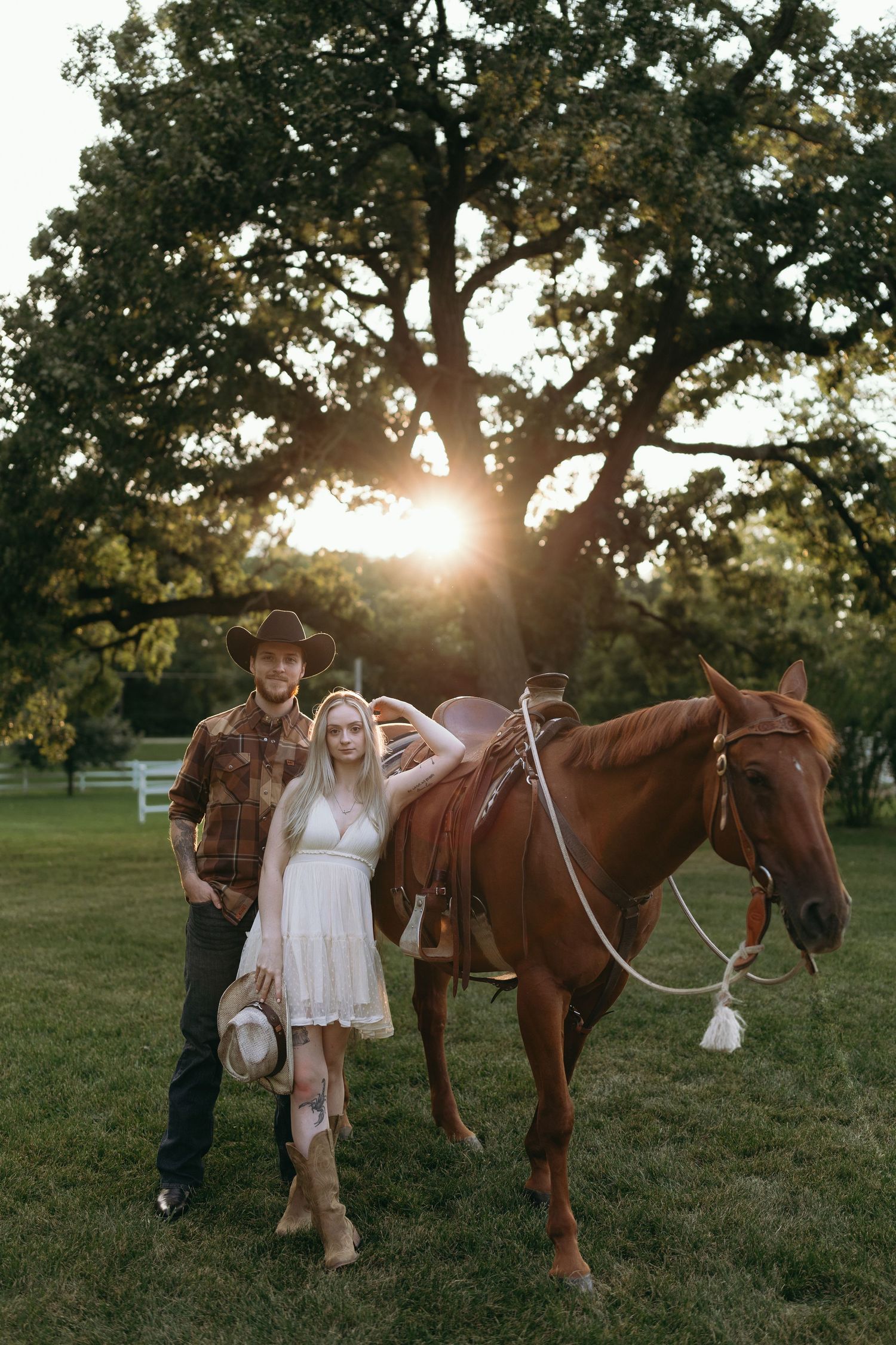 A couple poses with their brown horse in a grassy field at sunset with sunlight streaming through a large oak tree.