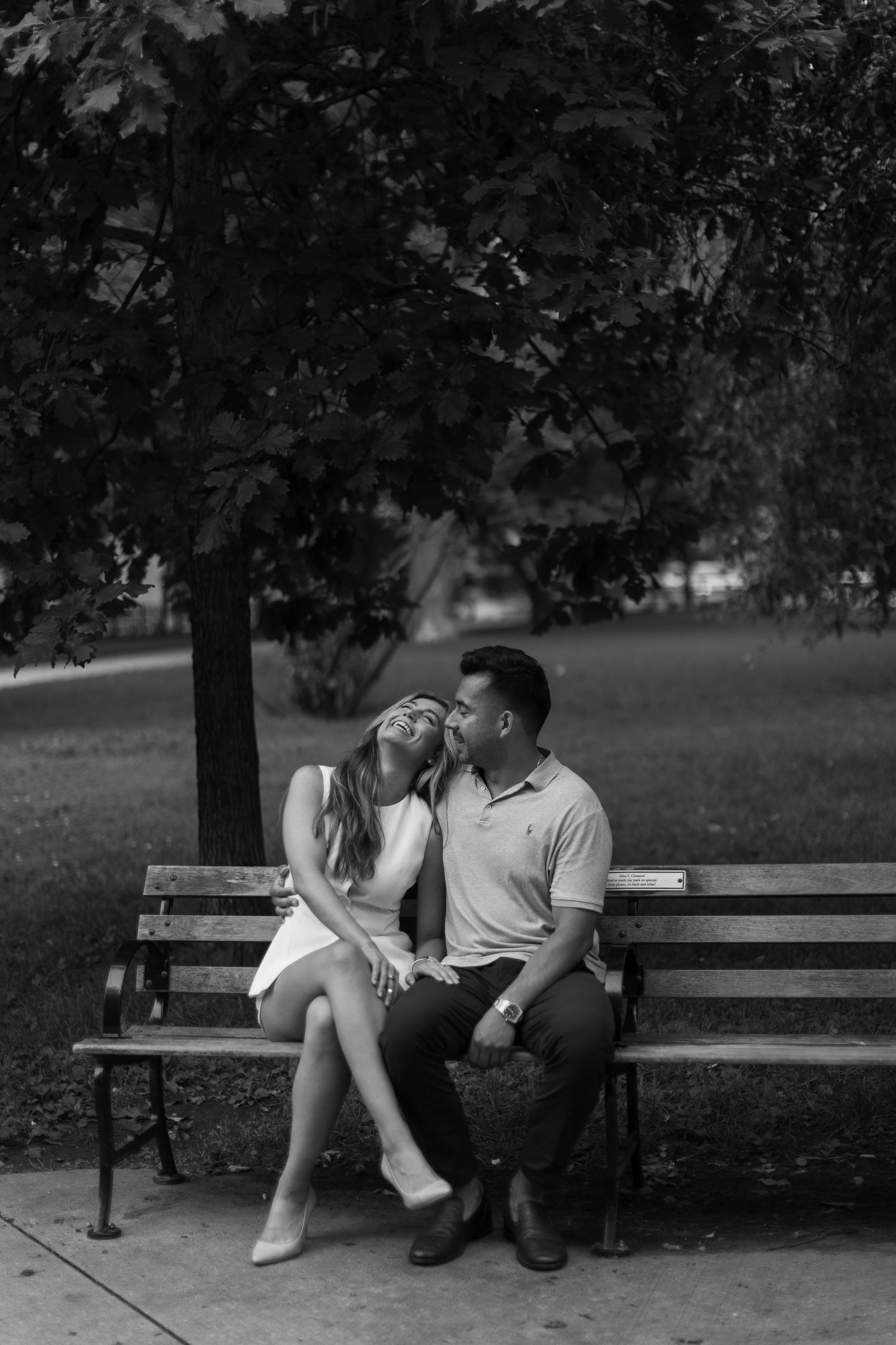 A couple sharing an intimate moment on a park bench under a shady tree.