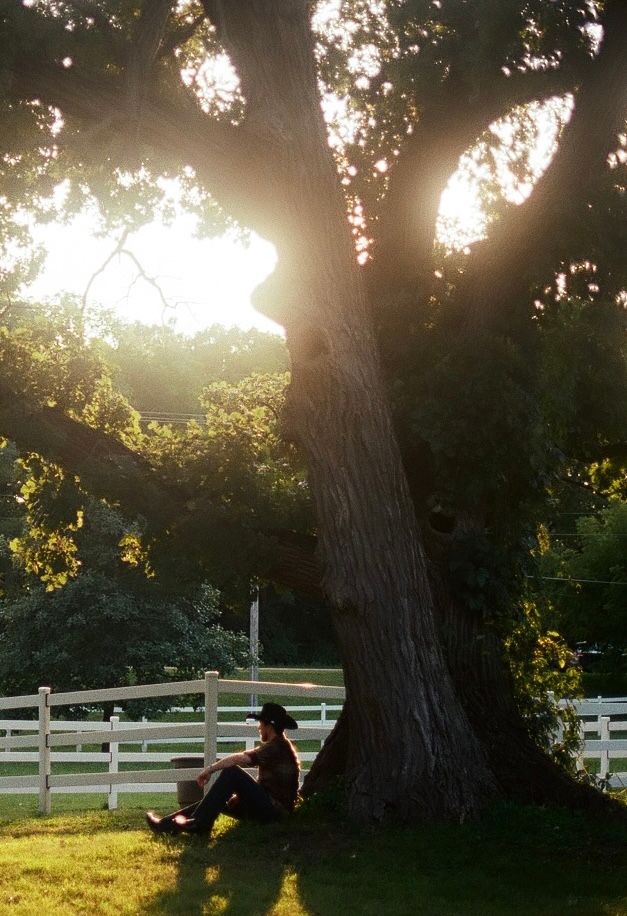 Beautiful evening sunlight streams through trees by a white fence as someone relaxes in the golden glow.
