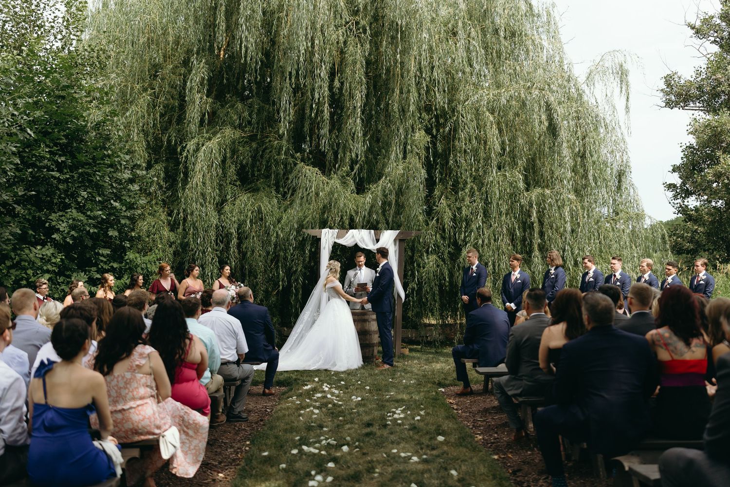 Wedding ceremony takes place under a majestic weeping willow tree with guests gathered on a sunny afternoon.