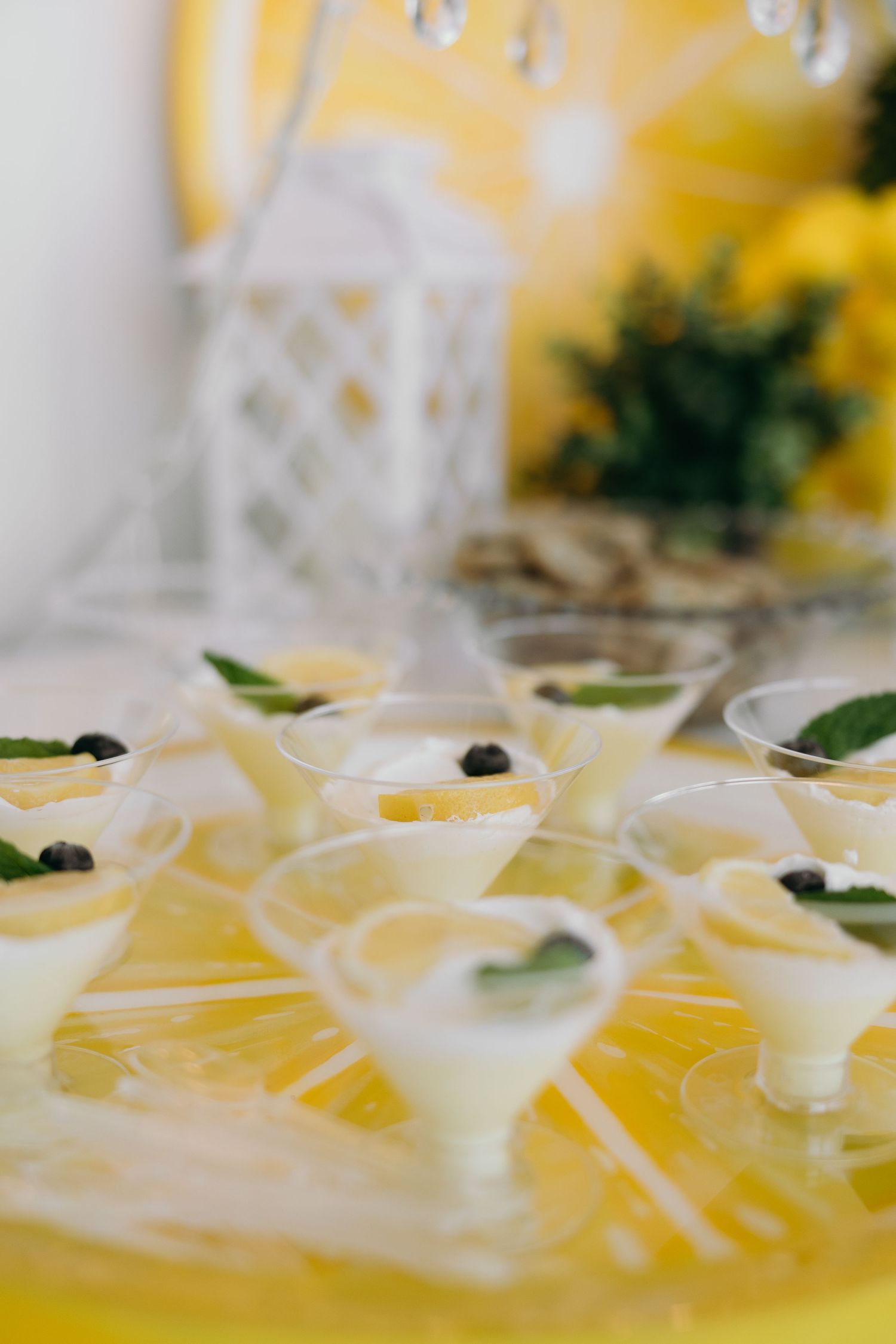 A wedding at Providence Vineyard in the Chicagoland suburbs