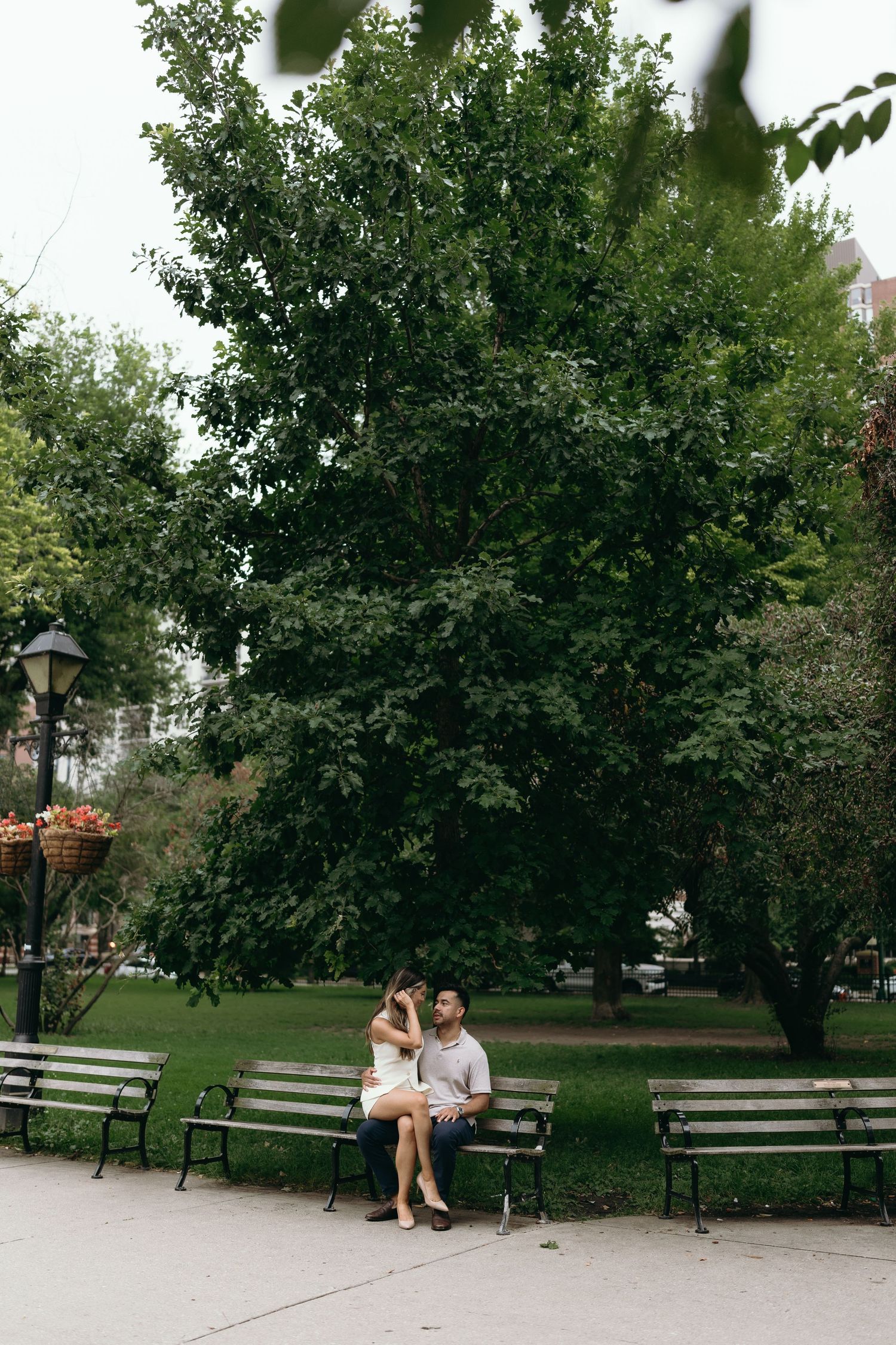 People sit on park benches beneath shaded canopy of trees on a peaceful summer afternoon.