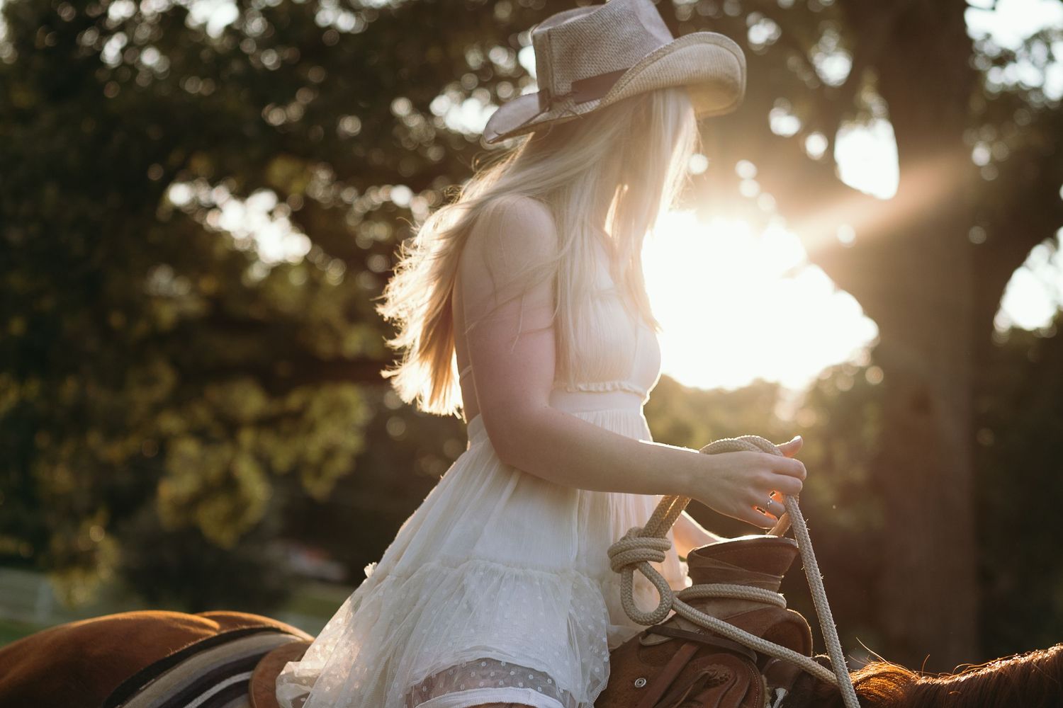 Romantic portrait of a couple embracing in a golden sunset, with sun flare cascading through trees in the background.