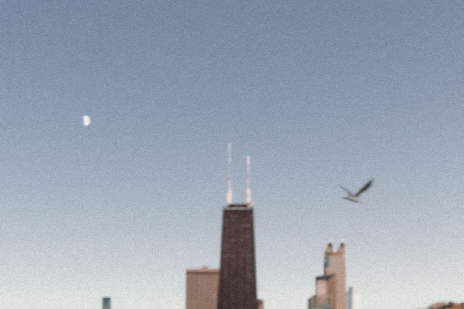 Chicago skyline panorama with birds flying against a cloudy sky and Lake Michigan in view.