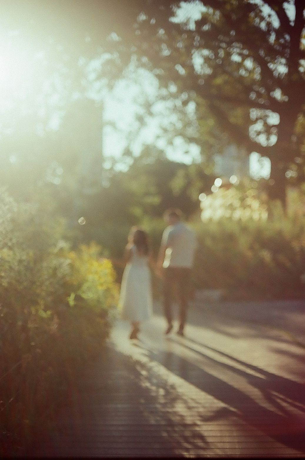 Silhouettes of people walking together on a wooded path during golden hour with dreamy bokeh effect.