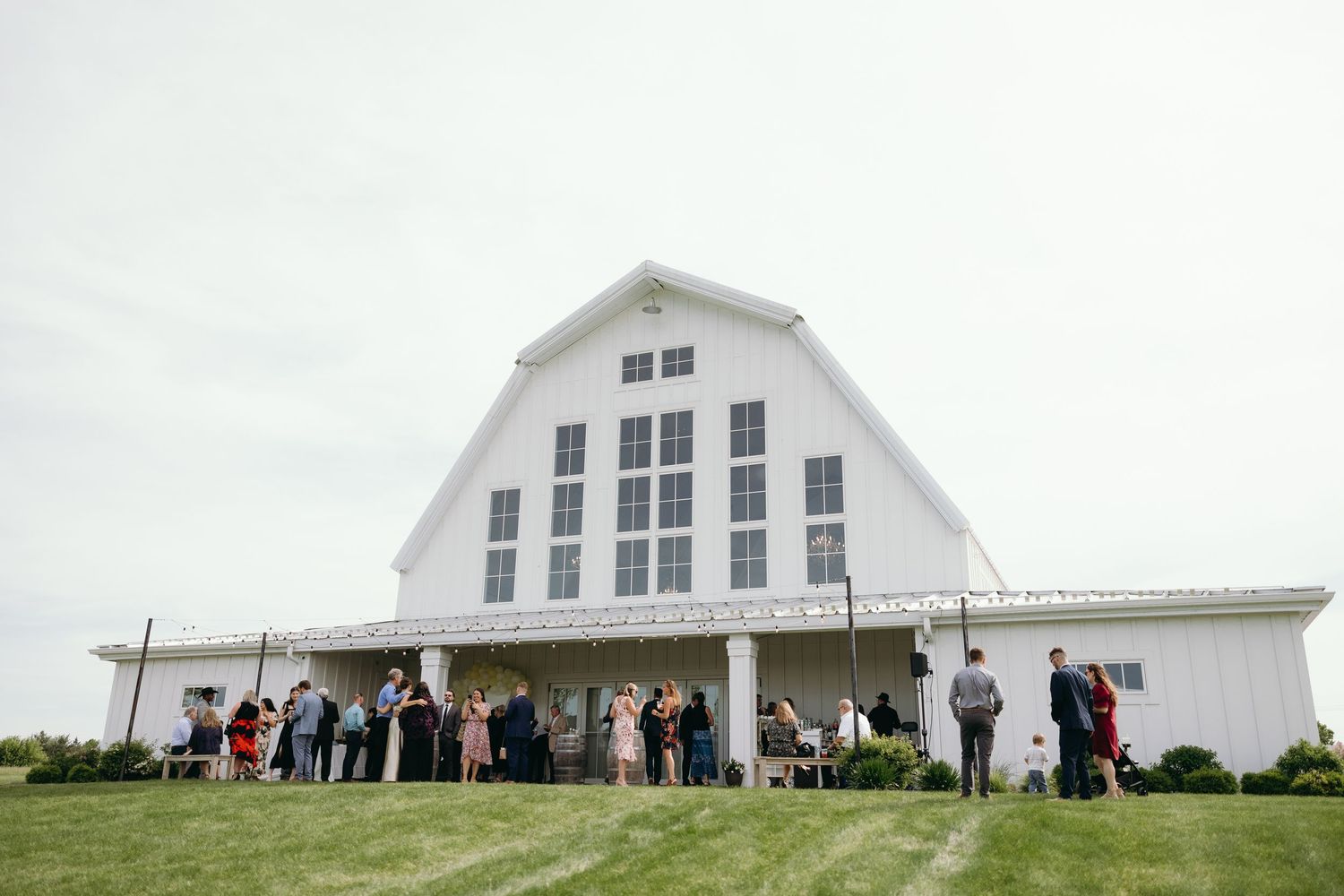 A wedding at Providence Vineyard in the Chicagoland suburbs