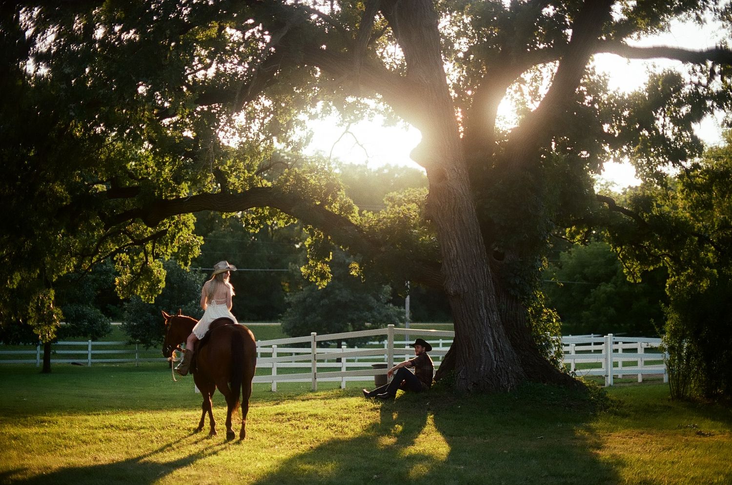 A horseback rider travels past a large oak tree at sunset with white fencing in the background on a serene farm.
