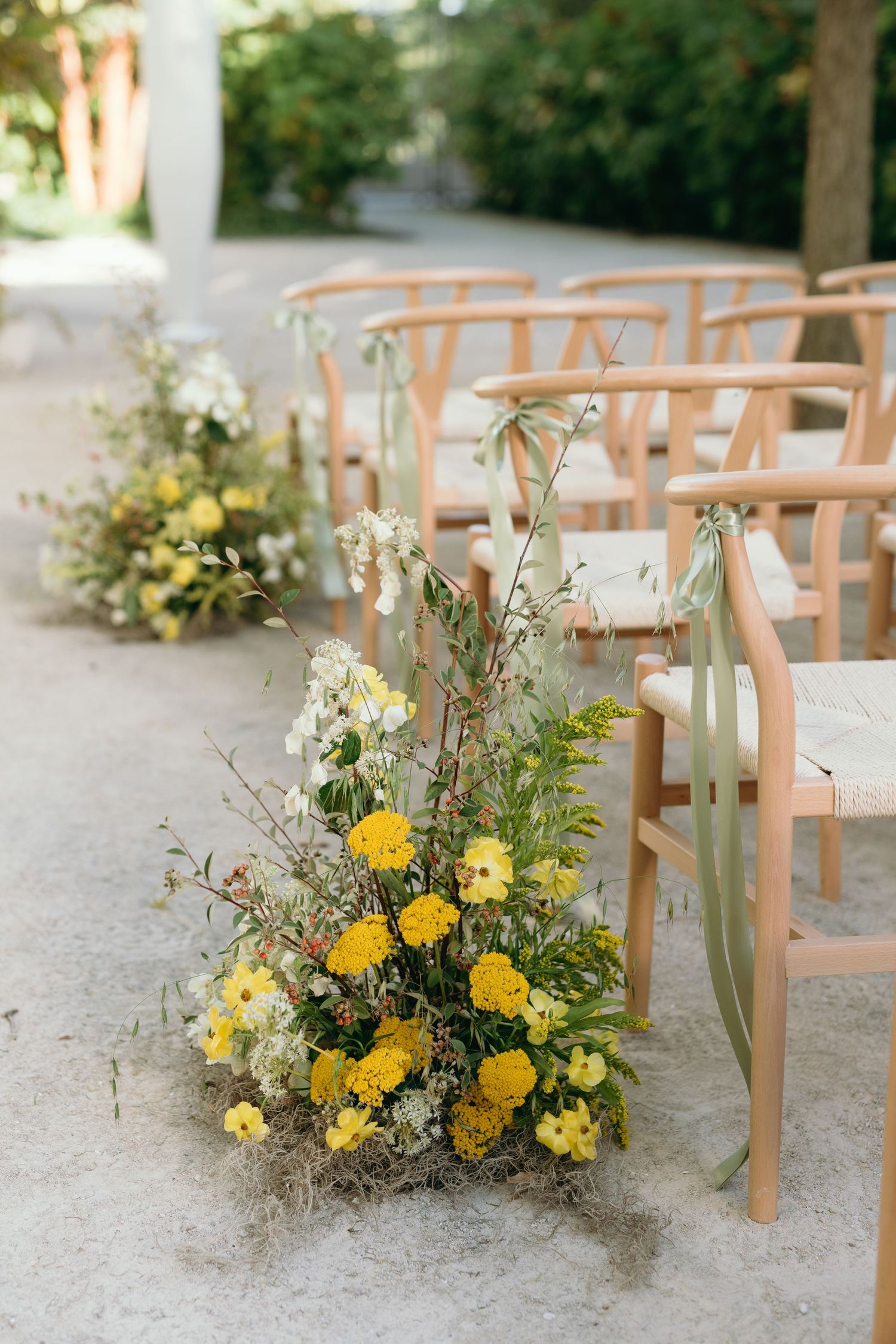Yellow and cream floral arrangements adorn wooden chairs along a pathway for an outdoor wedding ceremony.