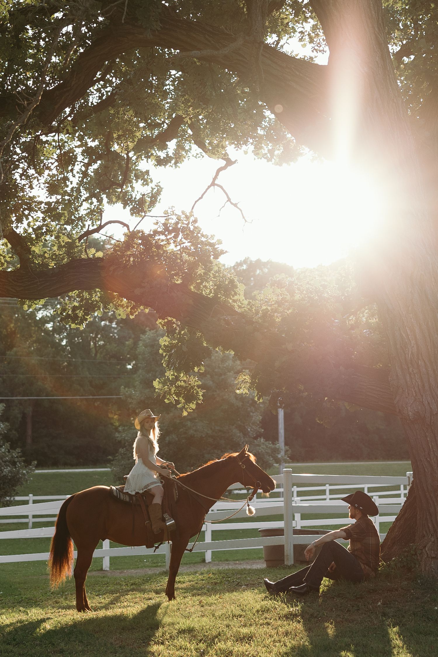 A group of horses and riders relax in a sunlit field with white fencing during golden hour.