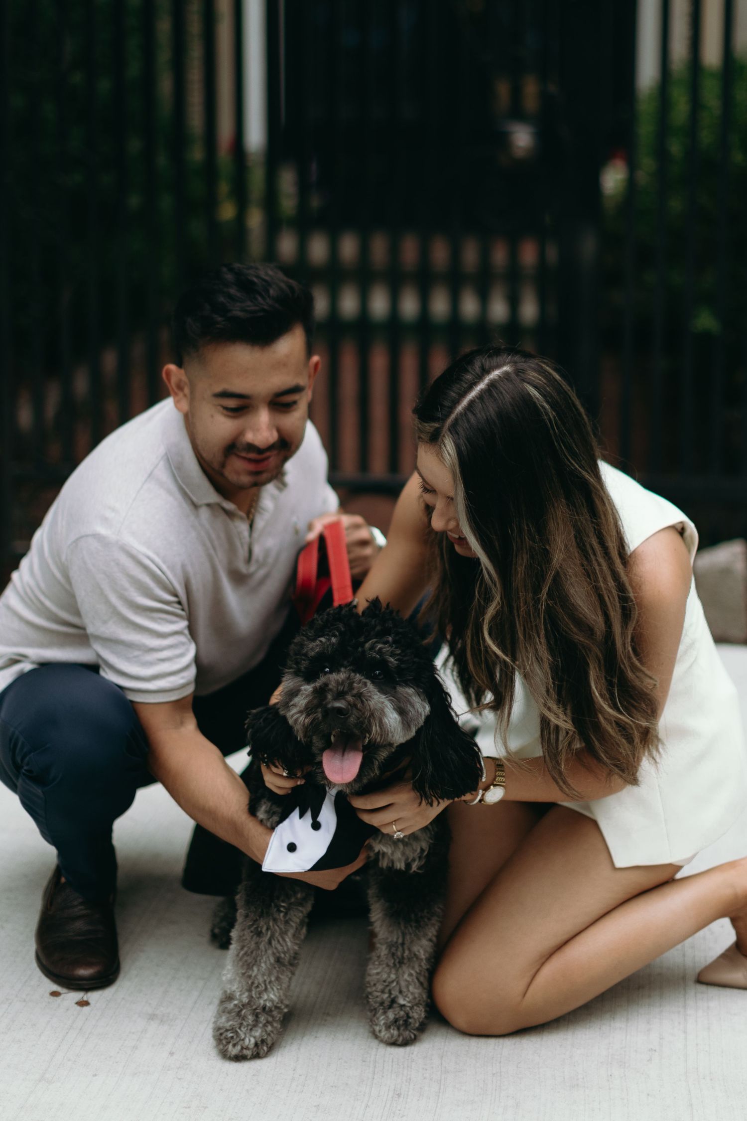 Couple poses with their gray dog on the ground during an outdoor photo session.