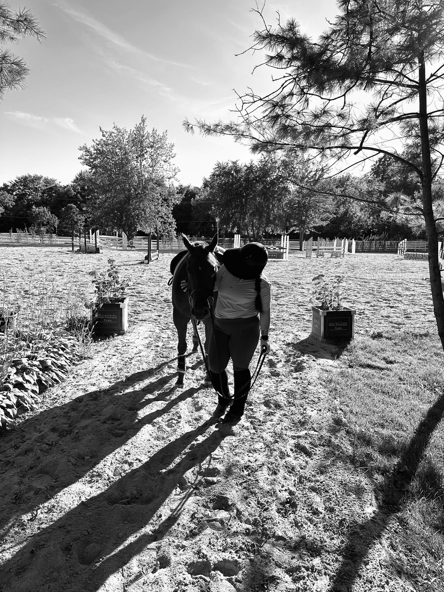 Silhouettes of people walking with long shadows cast on sunny winter ground.