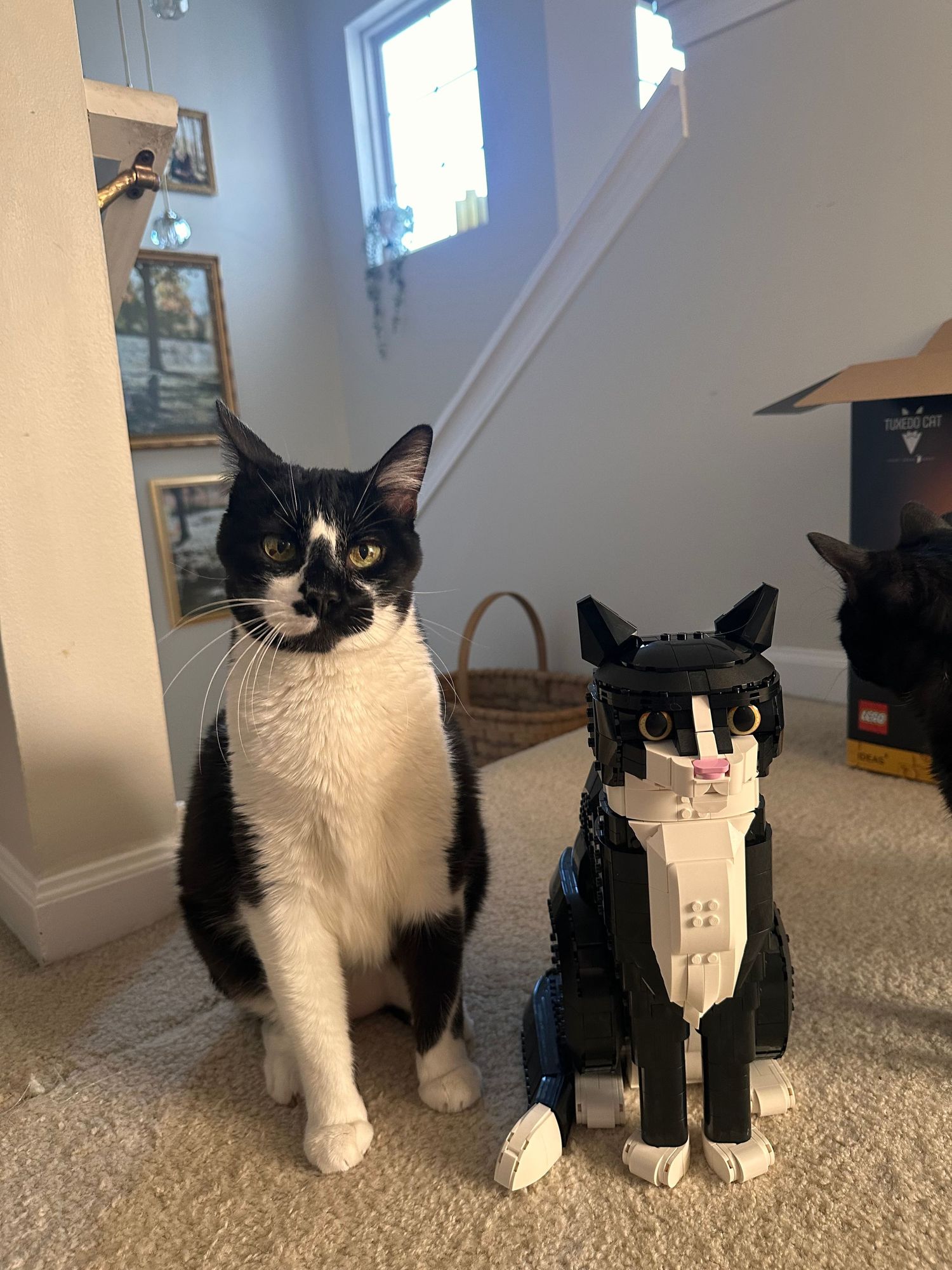 Black and white tuxedo cat sitting next to its LEGO replica on carpet.