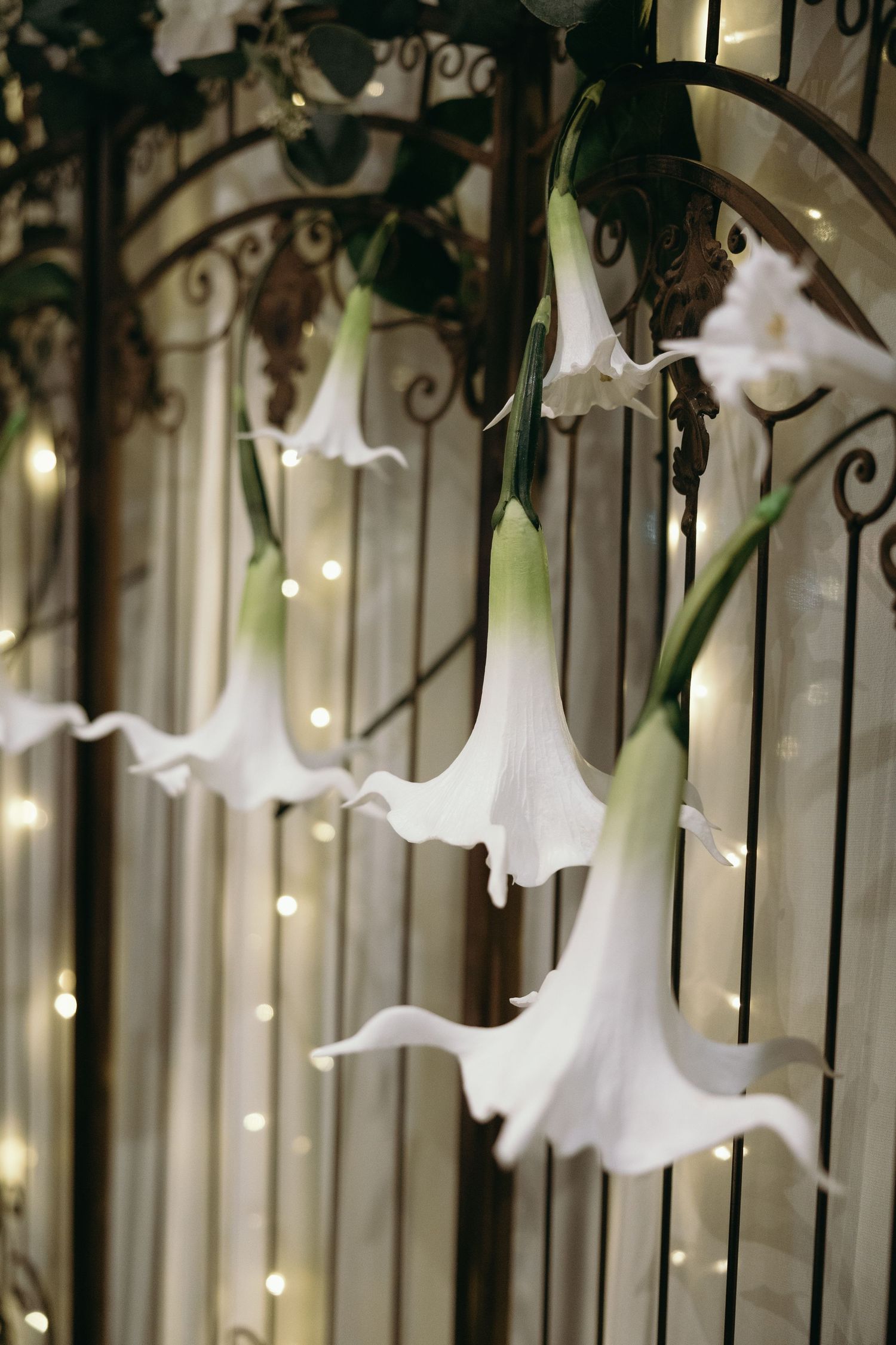 White trumpet lilies hanging against an ornate iron gate with twinkling lights in the background.