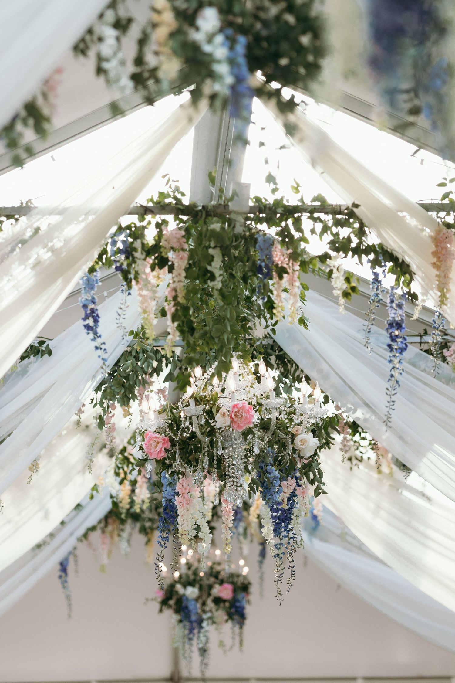 Stunning floral chandelier with pink roses, blue and white blooms hanging from a draped tent ceiling.