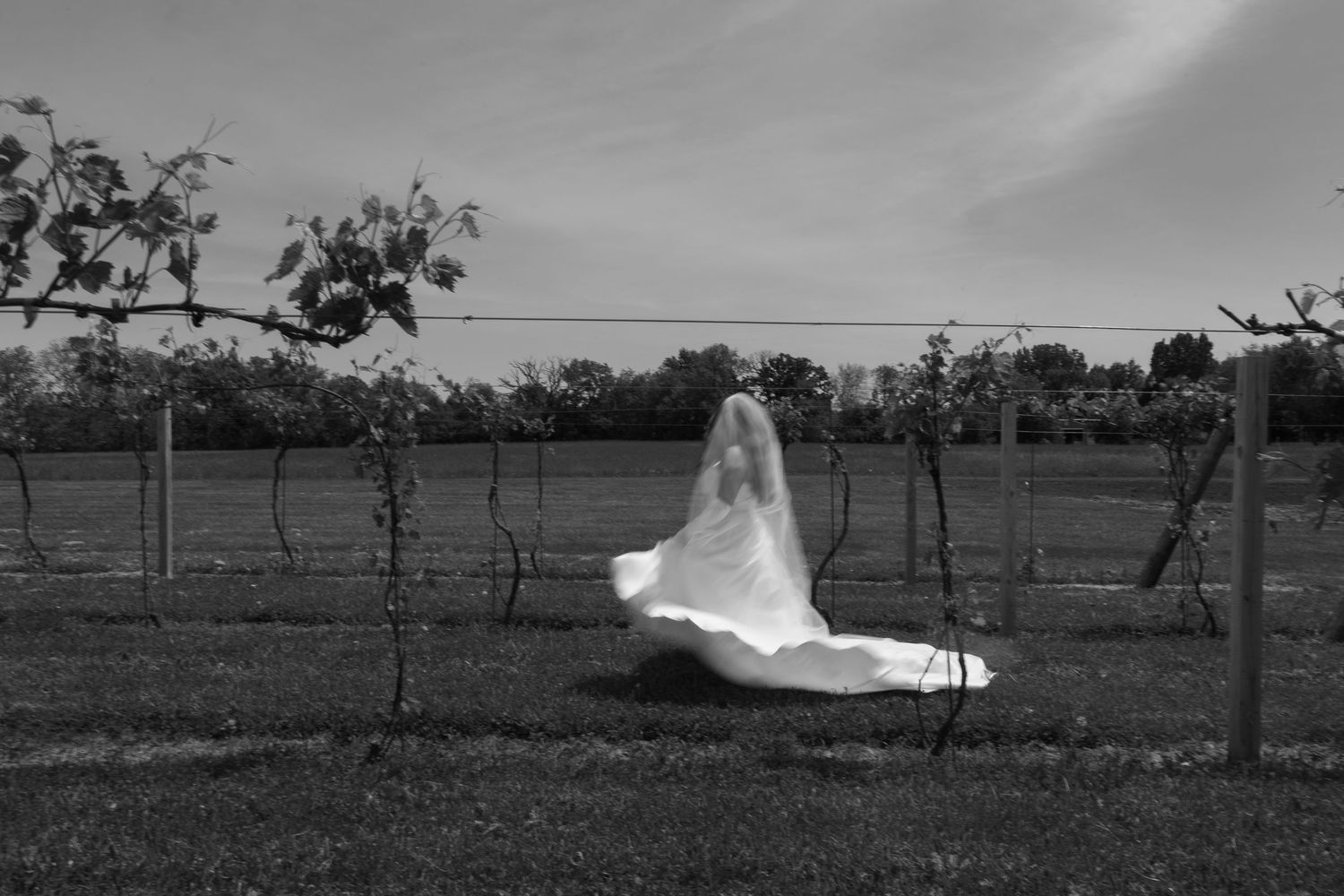 Ethereal black and white photo of flowing wedding dress in vineyard.