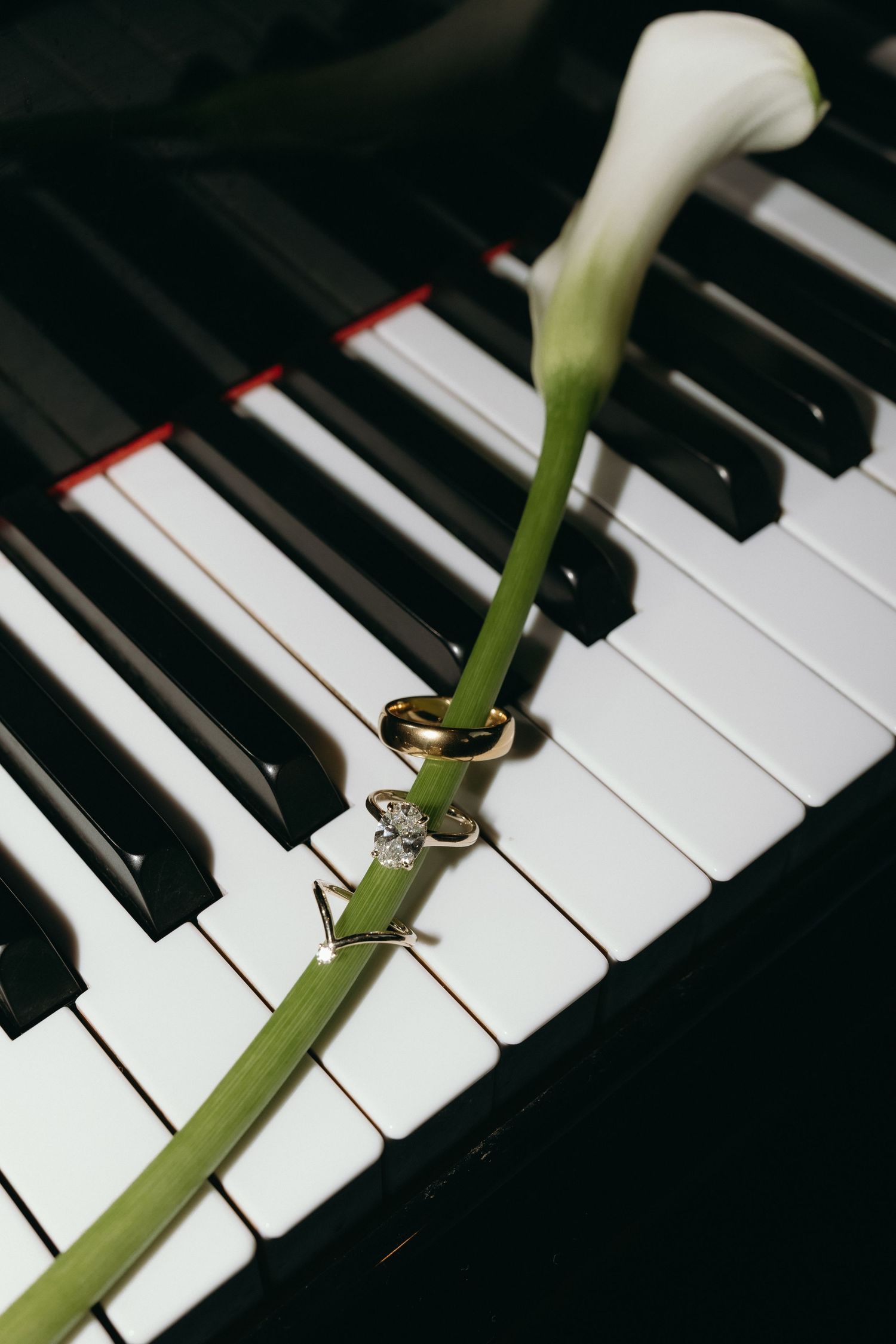 Wedding rings resting on a calla lily stem placed across elegant piano keys.