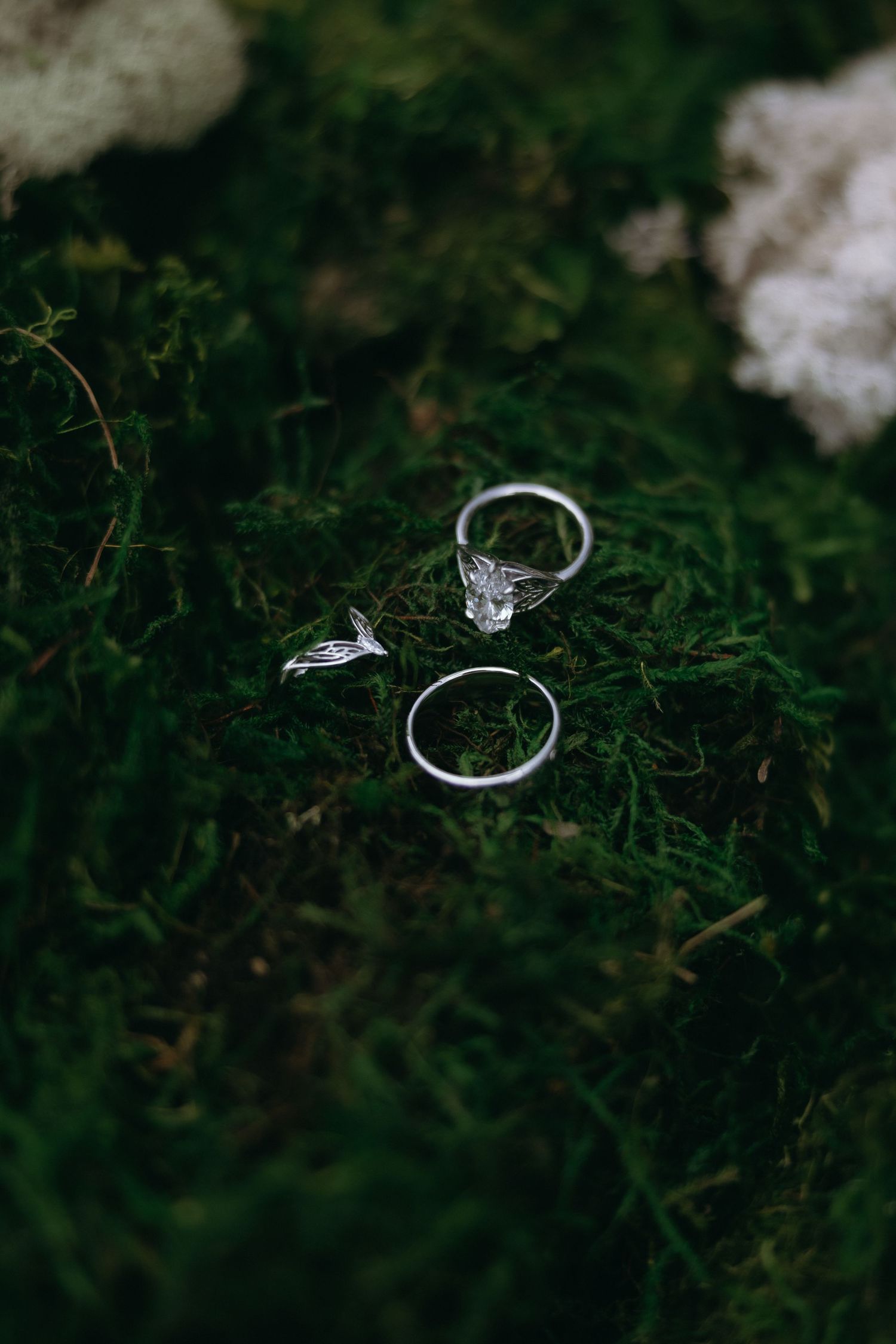 Three silver wedding rings and a diamond engagement ring resting on lush green moss, captured in moody natural light.