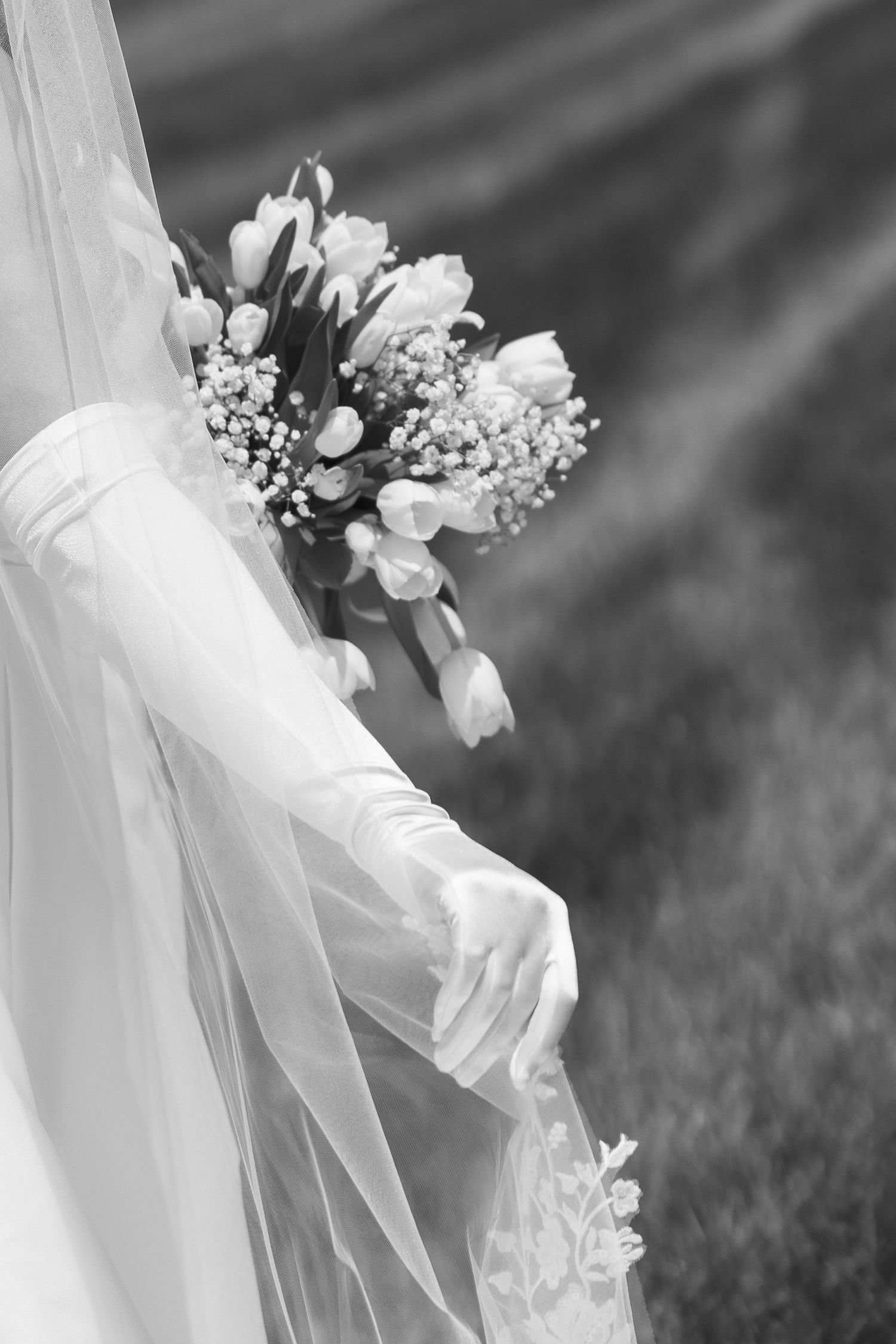 A wedding at Providence Vineyard in the Chicagoland suburbs