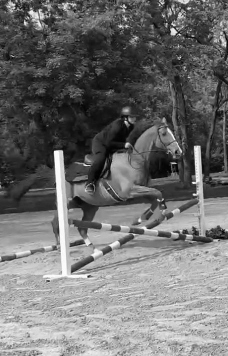 A horse and rider sequence jumping over white poles in an outdoor equestrian course.