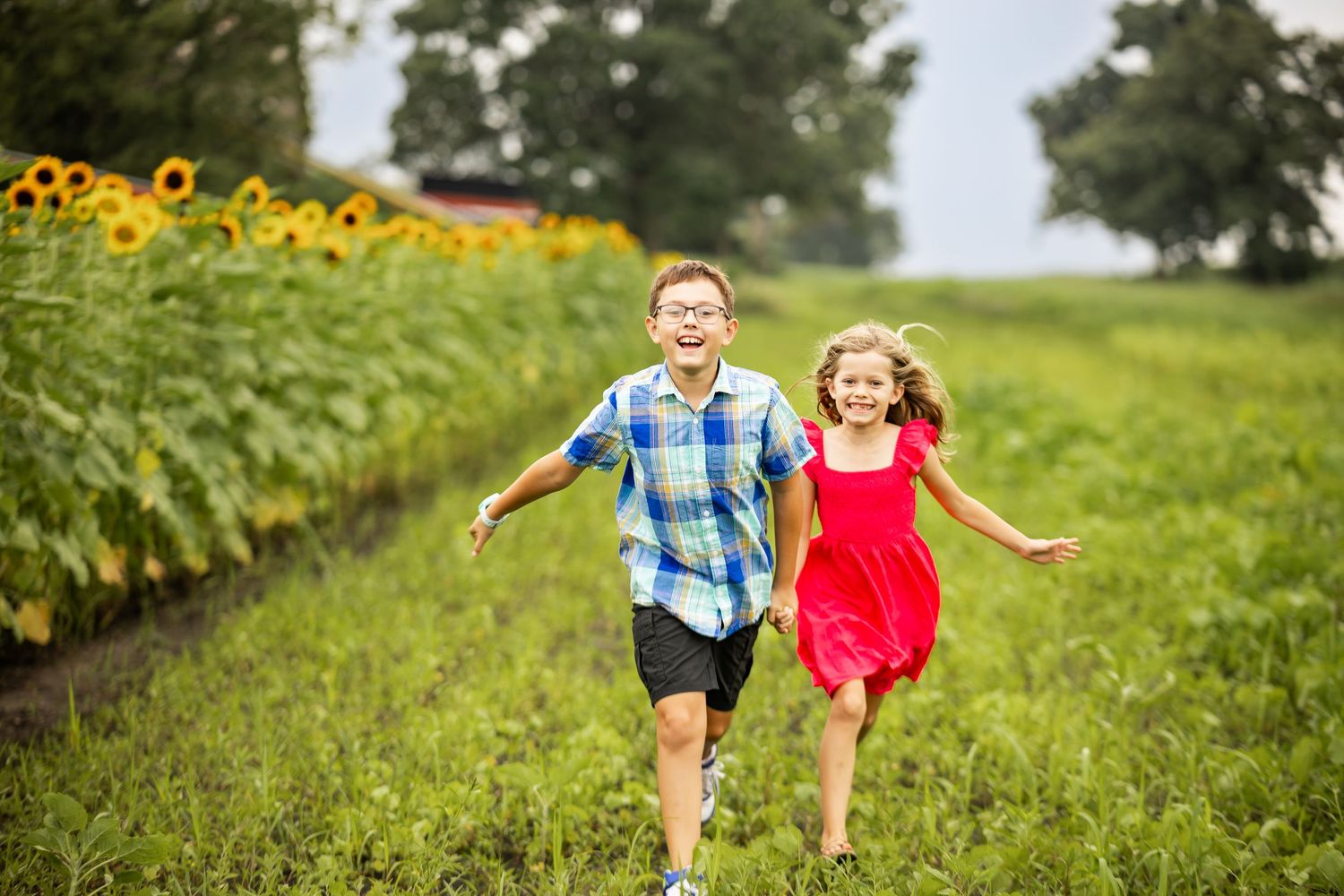 Kids running joyfully through field of sunflowers on sunny day.