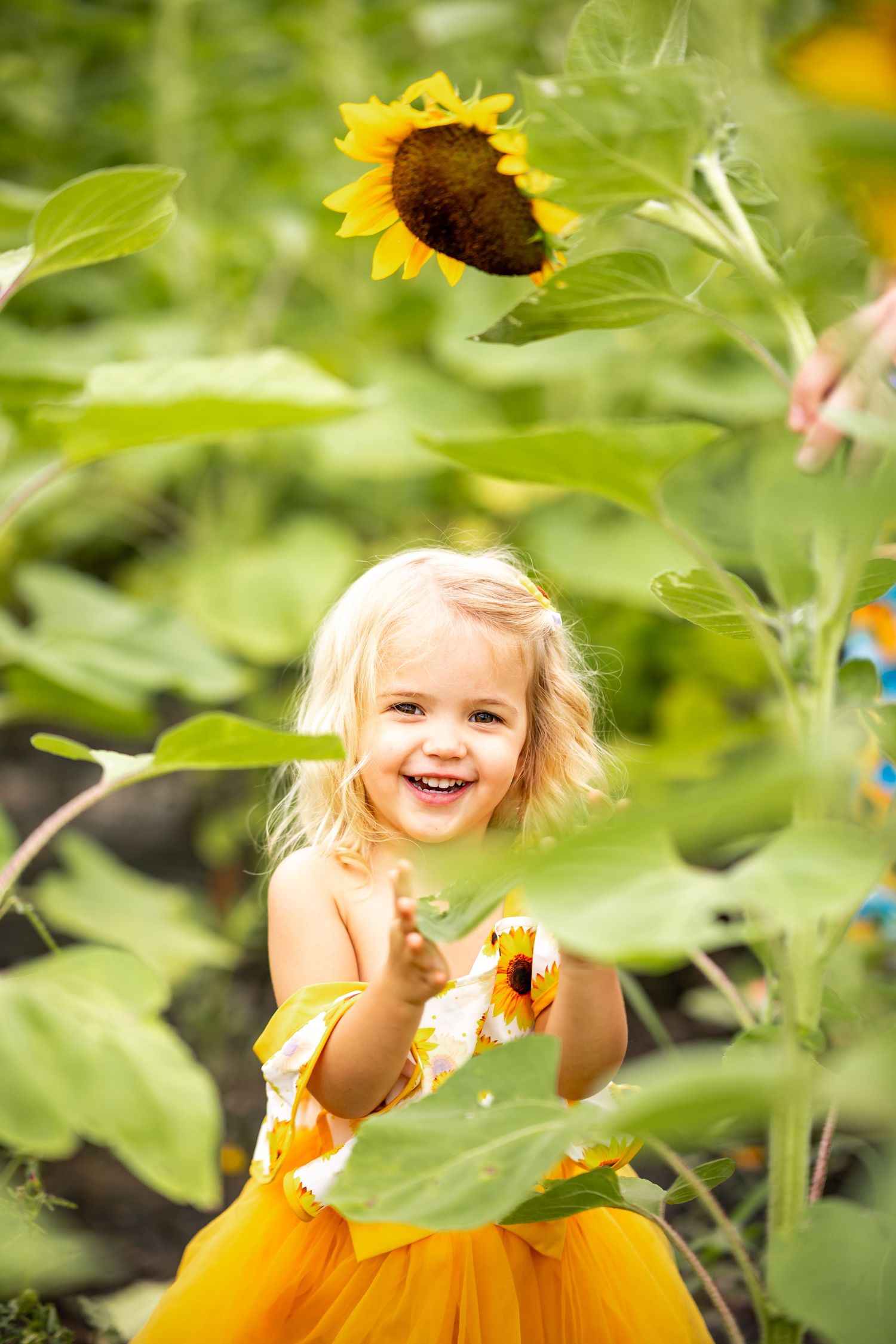 A joyful moment captured among bright yellow sunflowers in a summer garden.