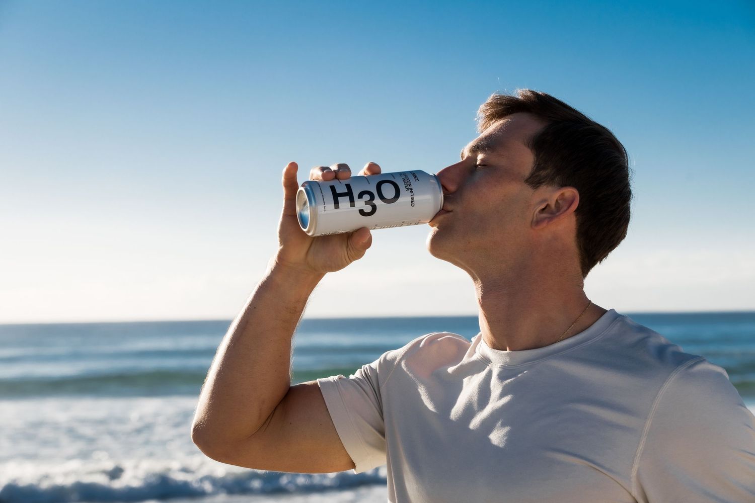 h3o
