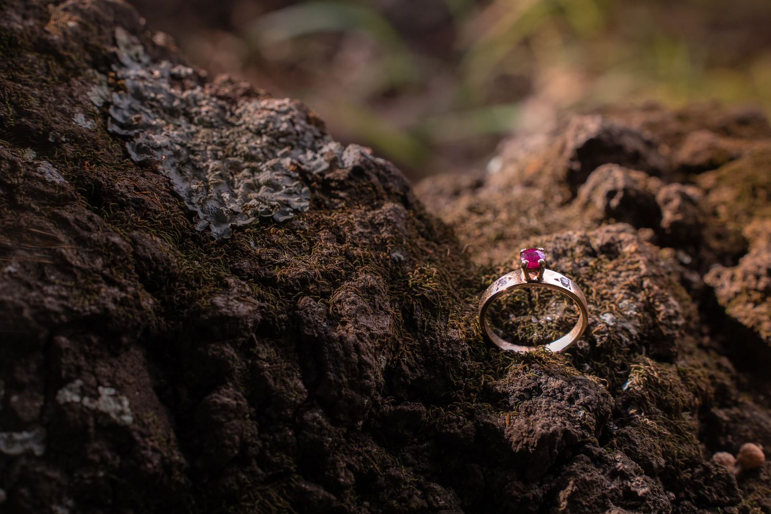 Close-up macro photography of wedding rings on textured brown rocky surface.