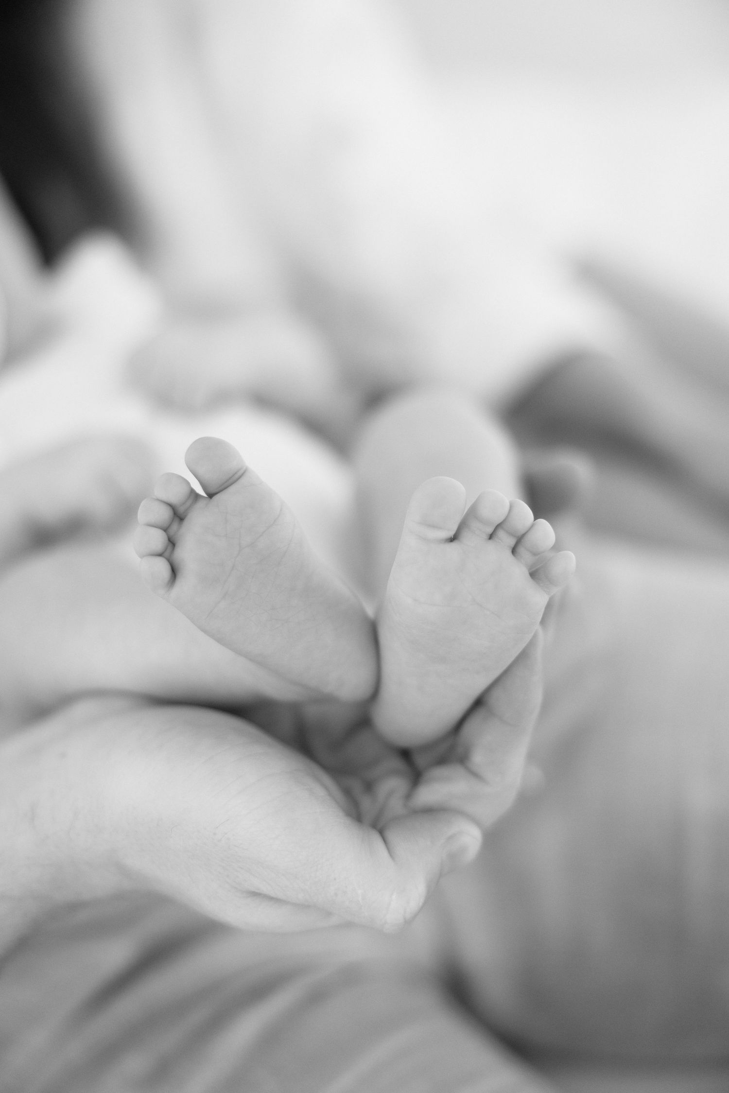Close-up black and white photo of tiny newborn baby feet being gently cradled in adult hands.