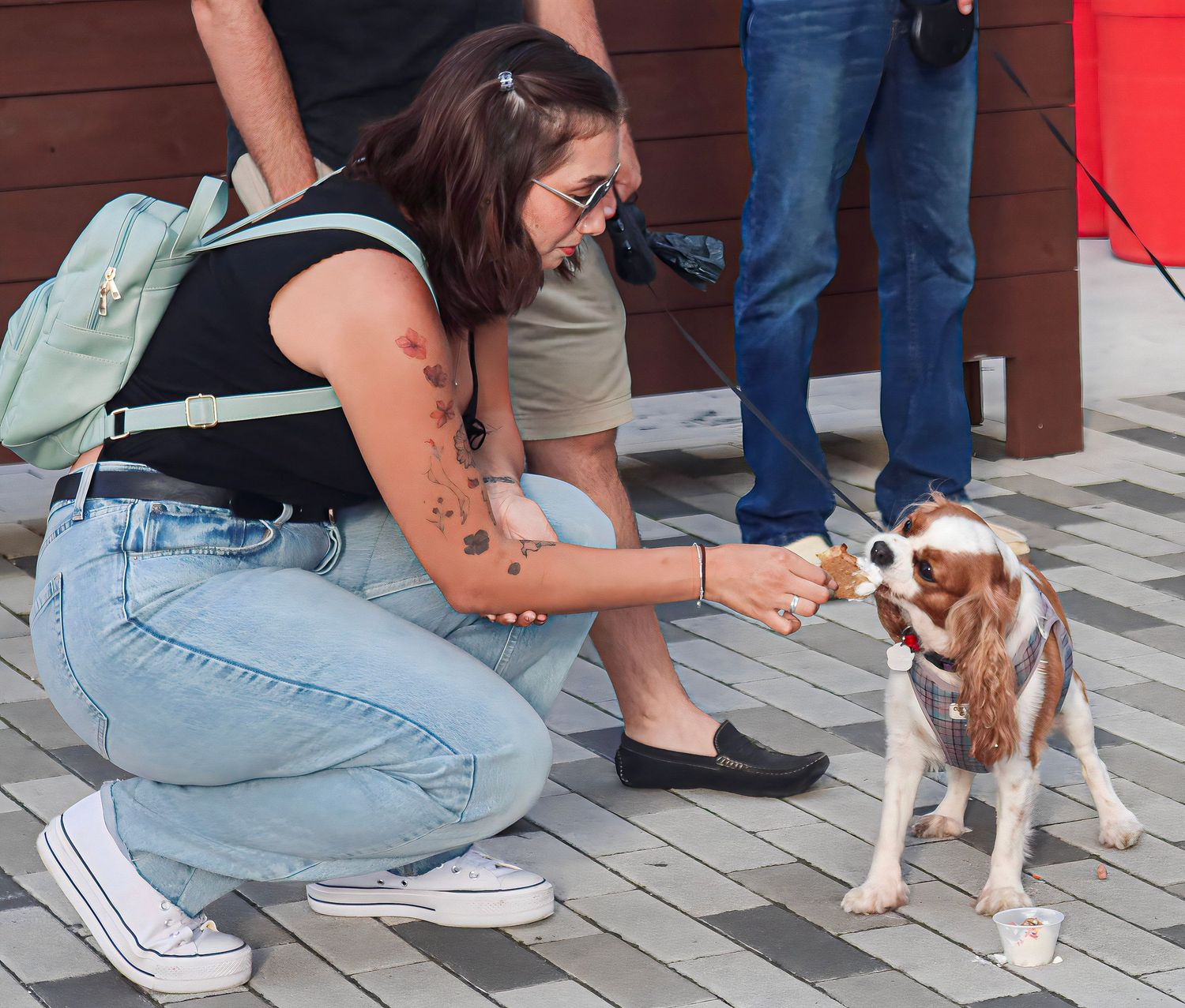 Photo was taken during The Paws on the Plaza event by the Greenville Humane Society.