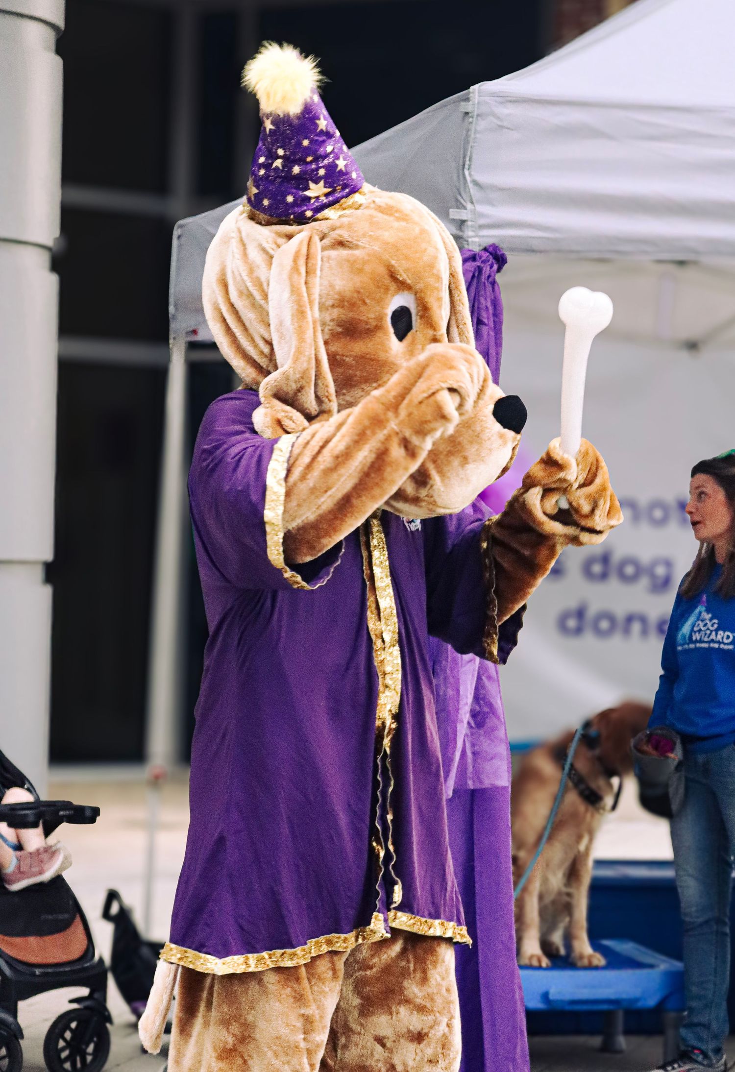 Photo was taken during The Paws on the Plaza event by the Greenville Humane Society.