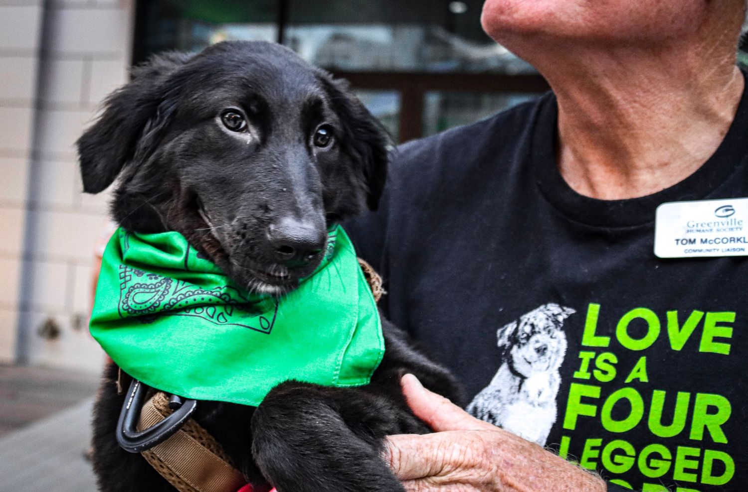 Photo was taken during The Paws on the Plaza event by the Greenville Humane Society.