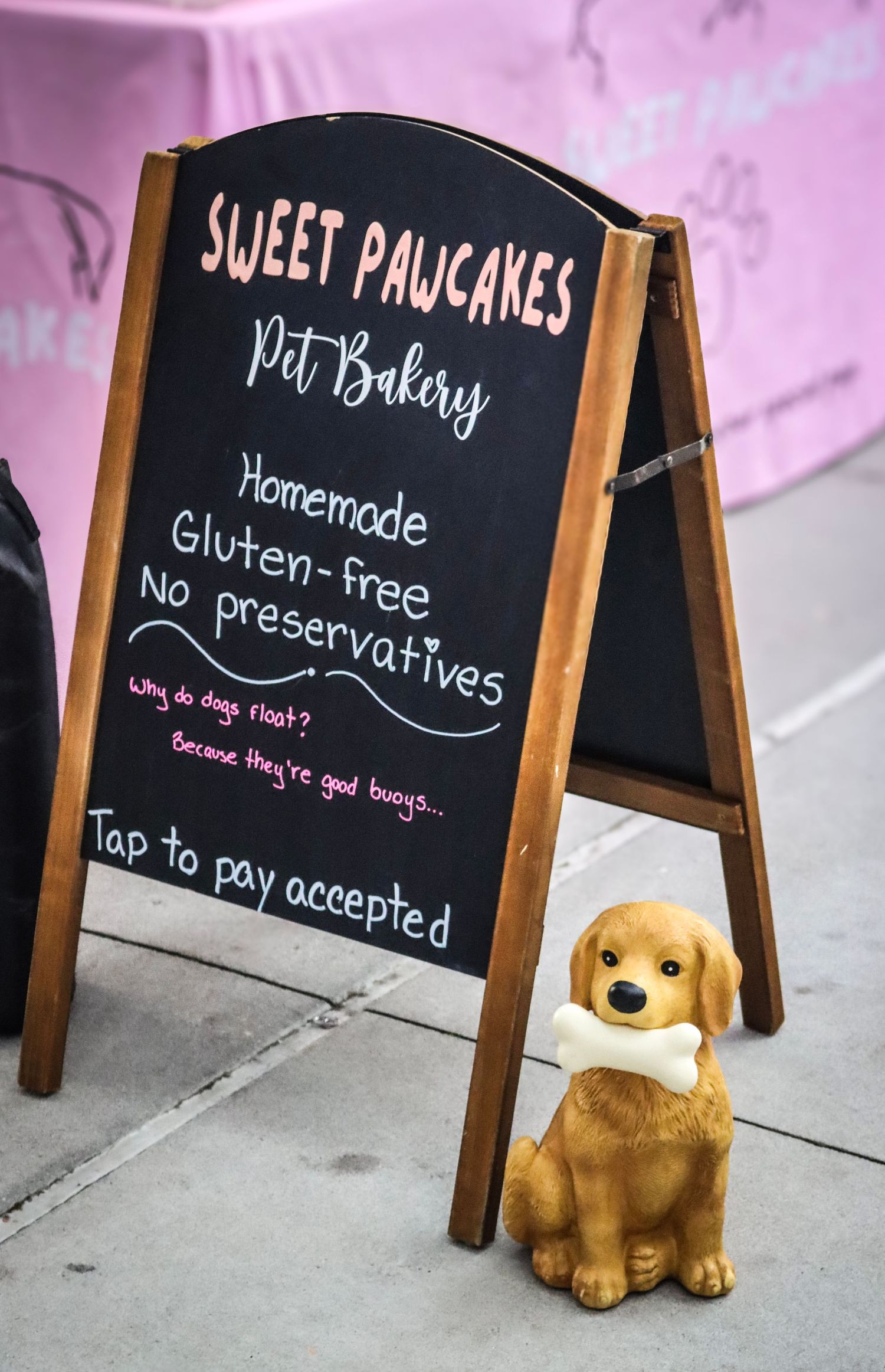 Photo was taken during The Paws on the Plaza event by the Greenville Humane Society.