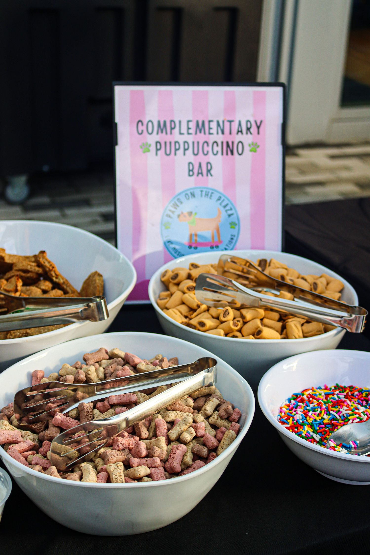 Photo was taken during The Paws on the Plaza event by the Greenville Humane Society.