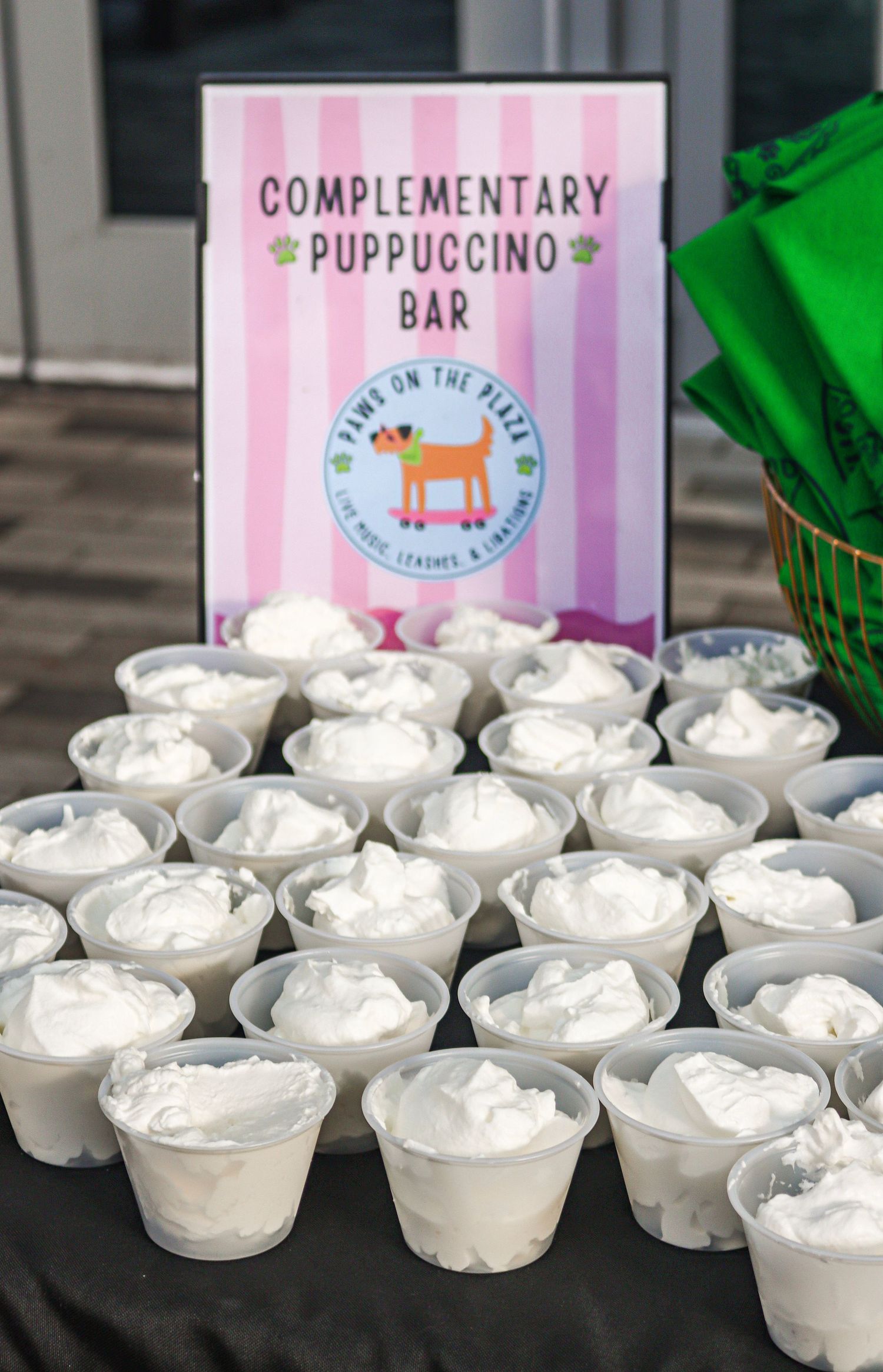 Photo was taken during The Paws on the Plaza event by the Greenville Humane Society.