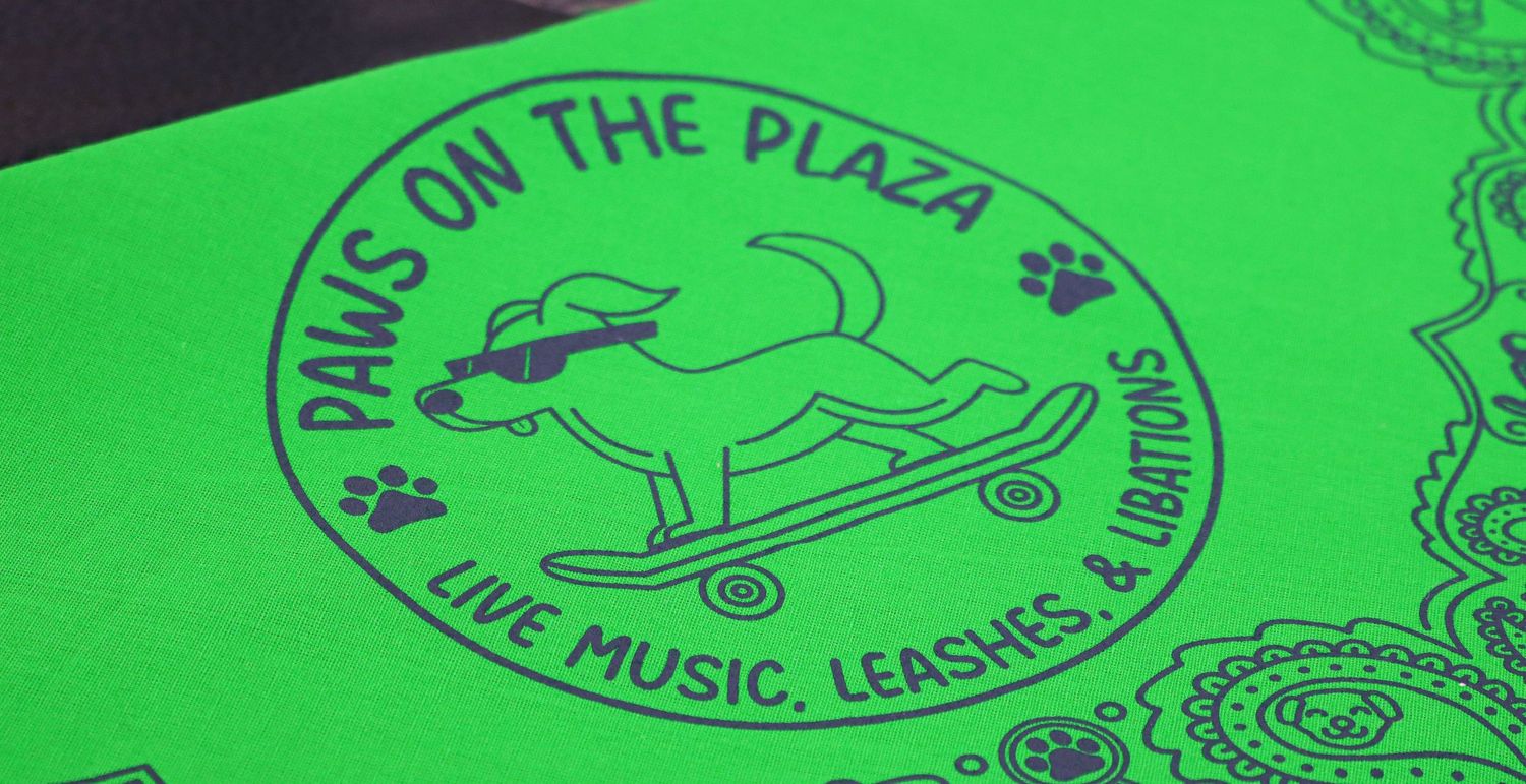 Photo taken for The Greenville Humane Society by Infinite Narratives.