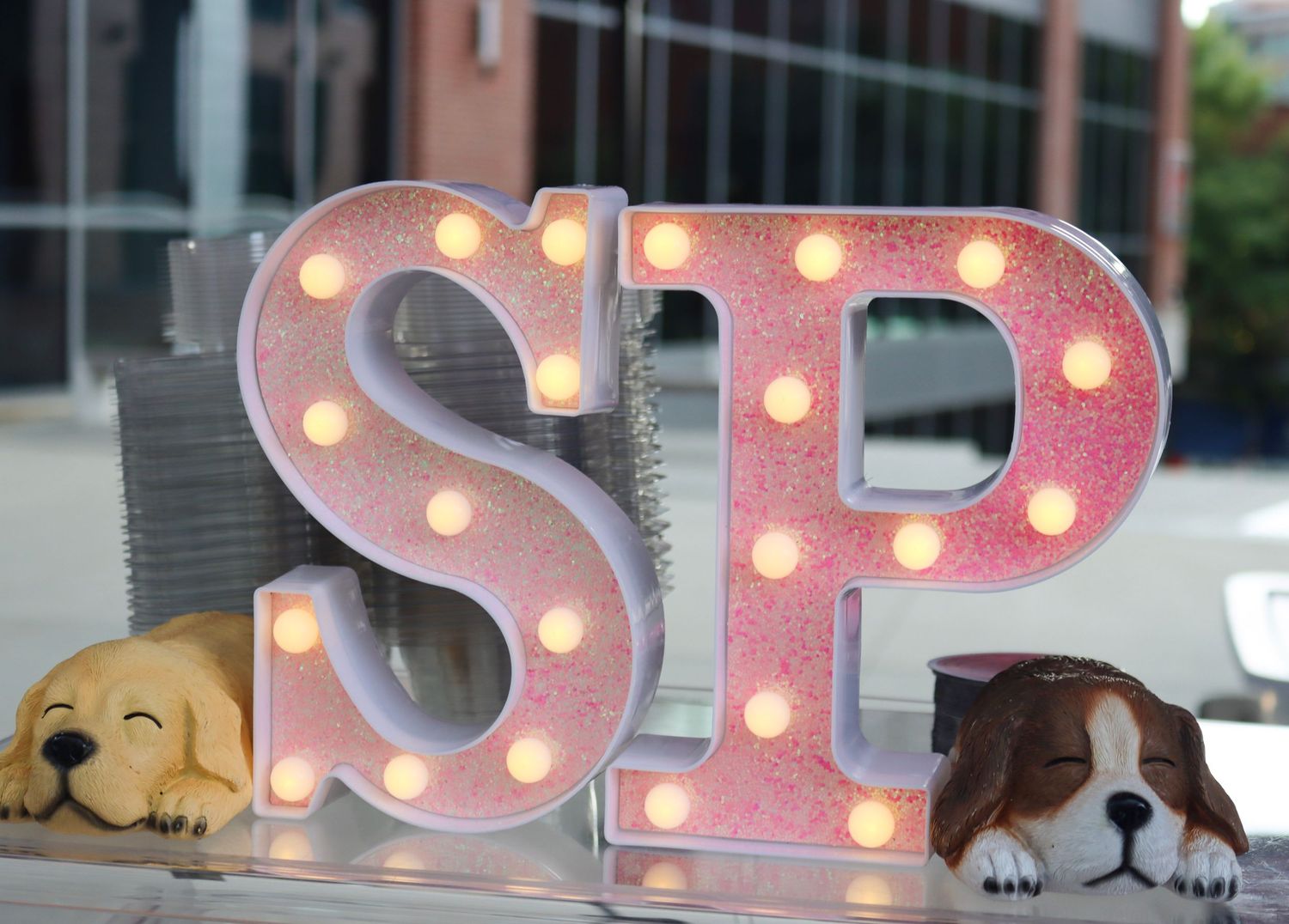 Photo was taken during The Paws on the Plaza event by the Greenville Humane Society.