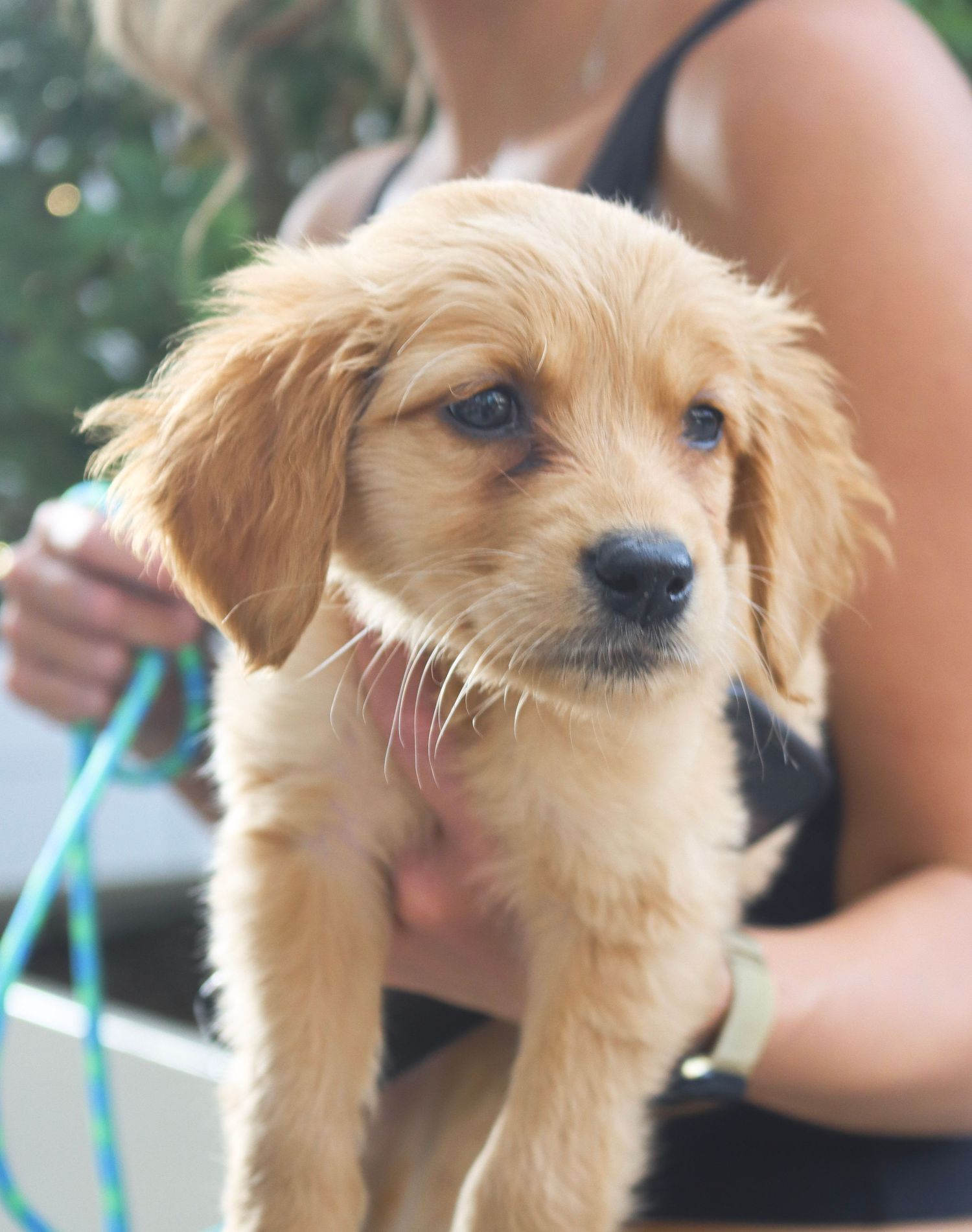 Photo taken for The Greenville Humane Society by Infinite Narratives.