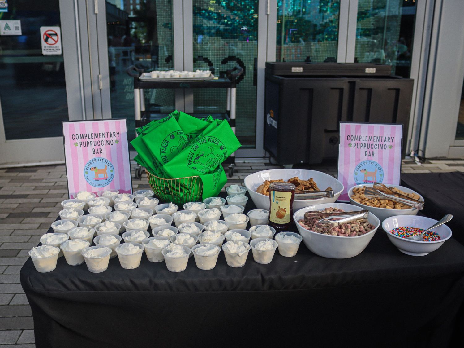 Photo was taken during The Paws on the Plaza event by the Greenville Humane Society.