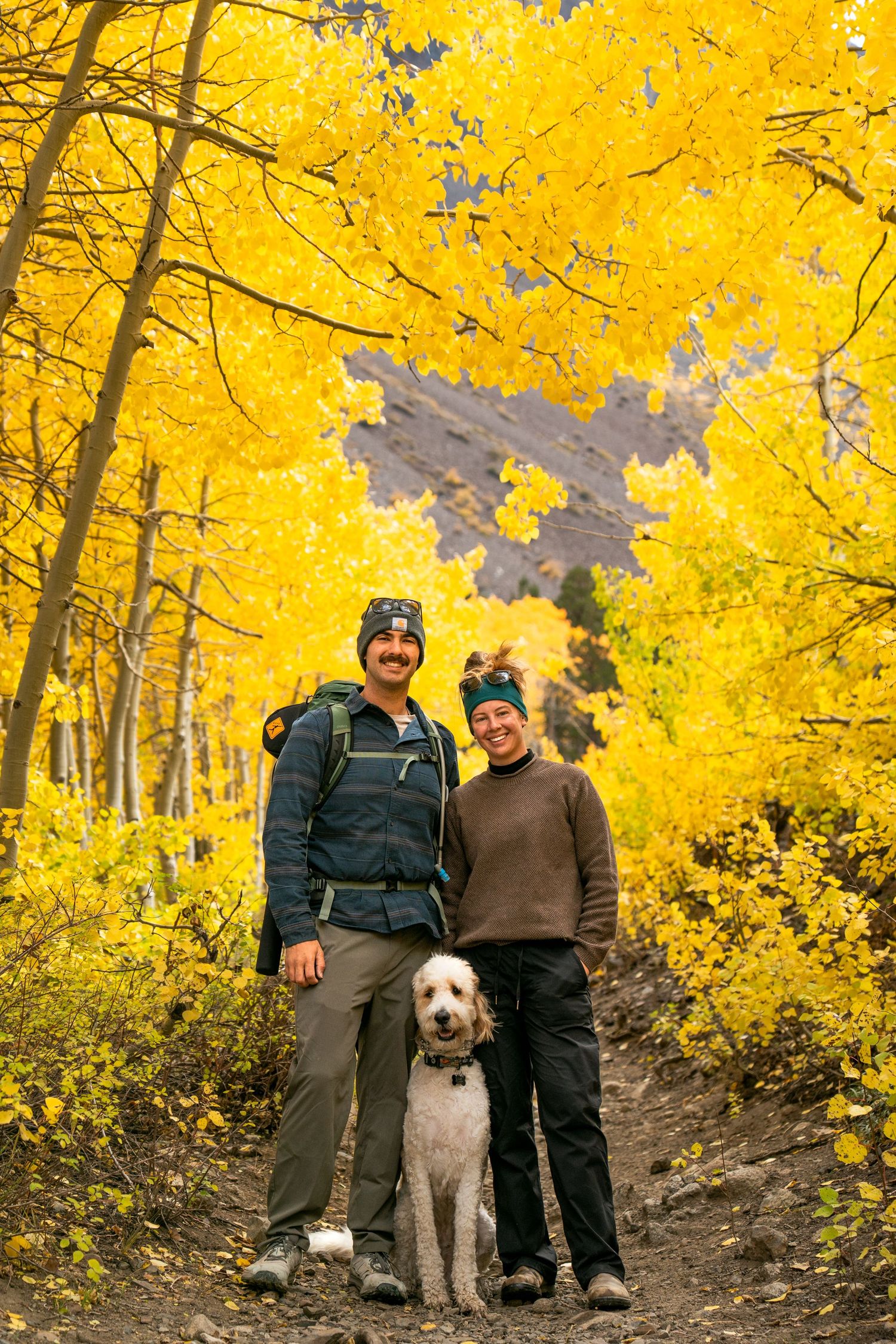 A couple and their fluffy white dog pose on an autumn trail surrounded by vibrant yellow aspen trees.