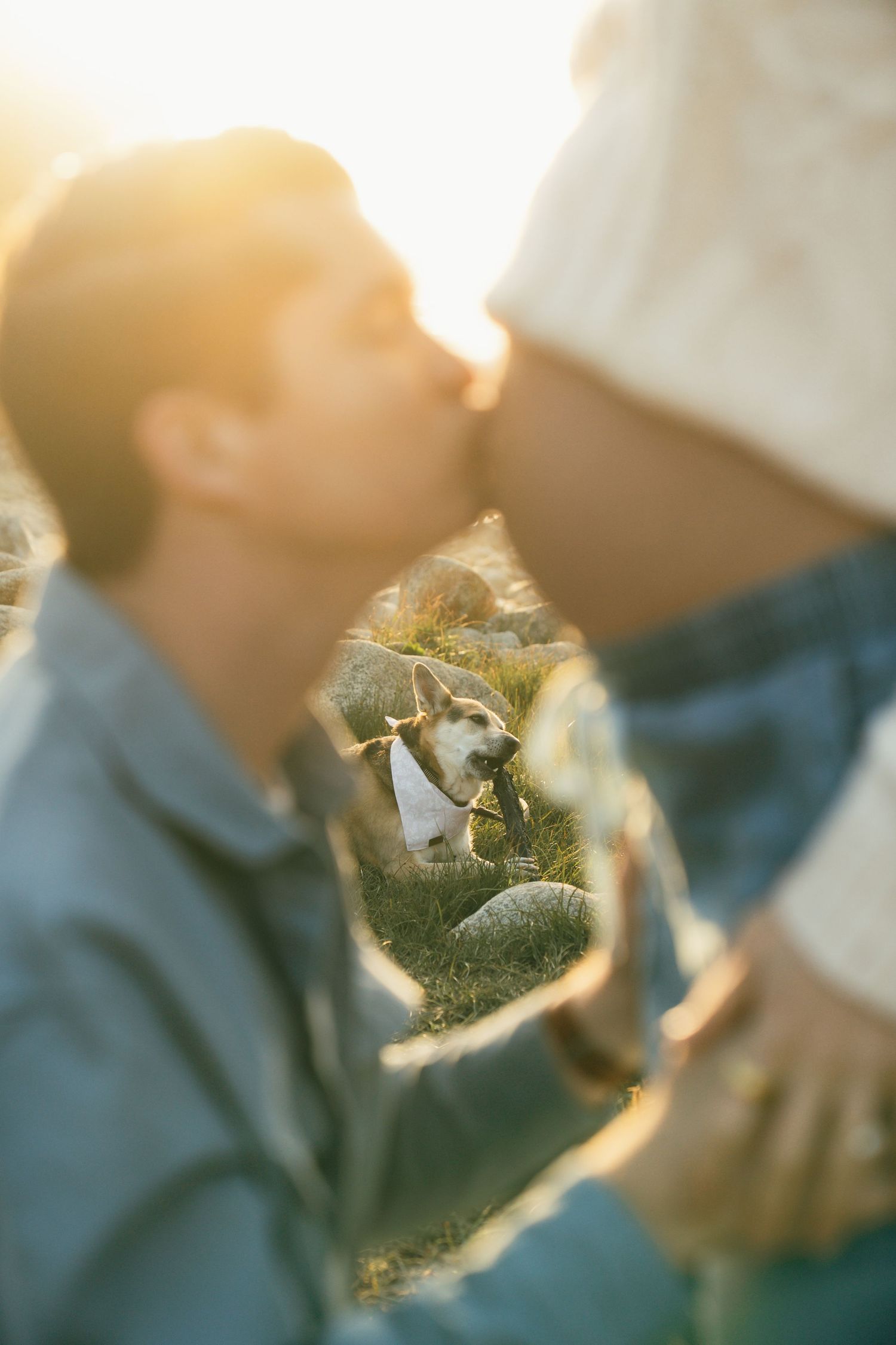 Couple sharing a tender kiss outdoors at golden hour with a small dog sitting in the background.